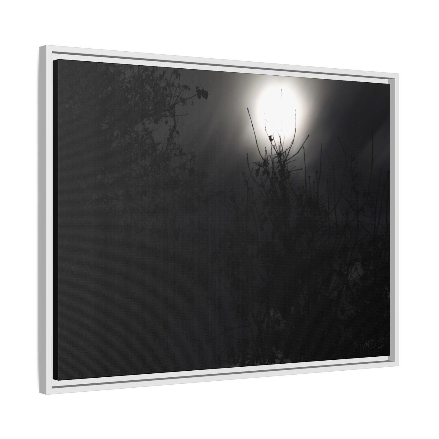 A Dance of Shadows Beneath the Moonlight [28] | Framed Canvas