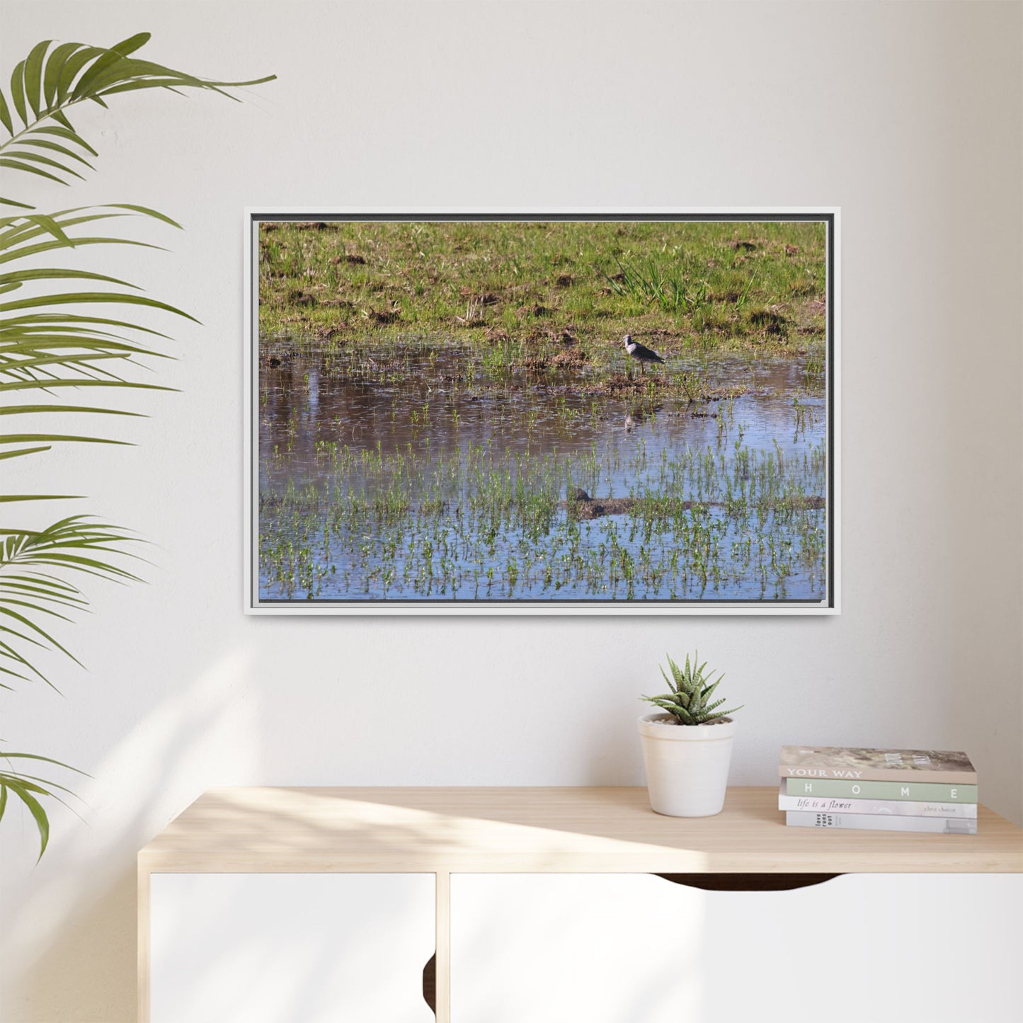 Sandpiper in Serene Wetland [2897] | Framed Canvas