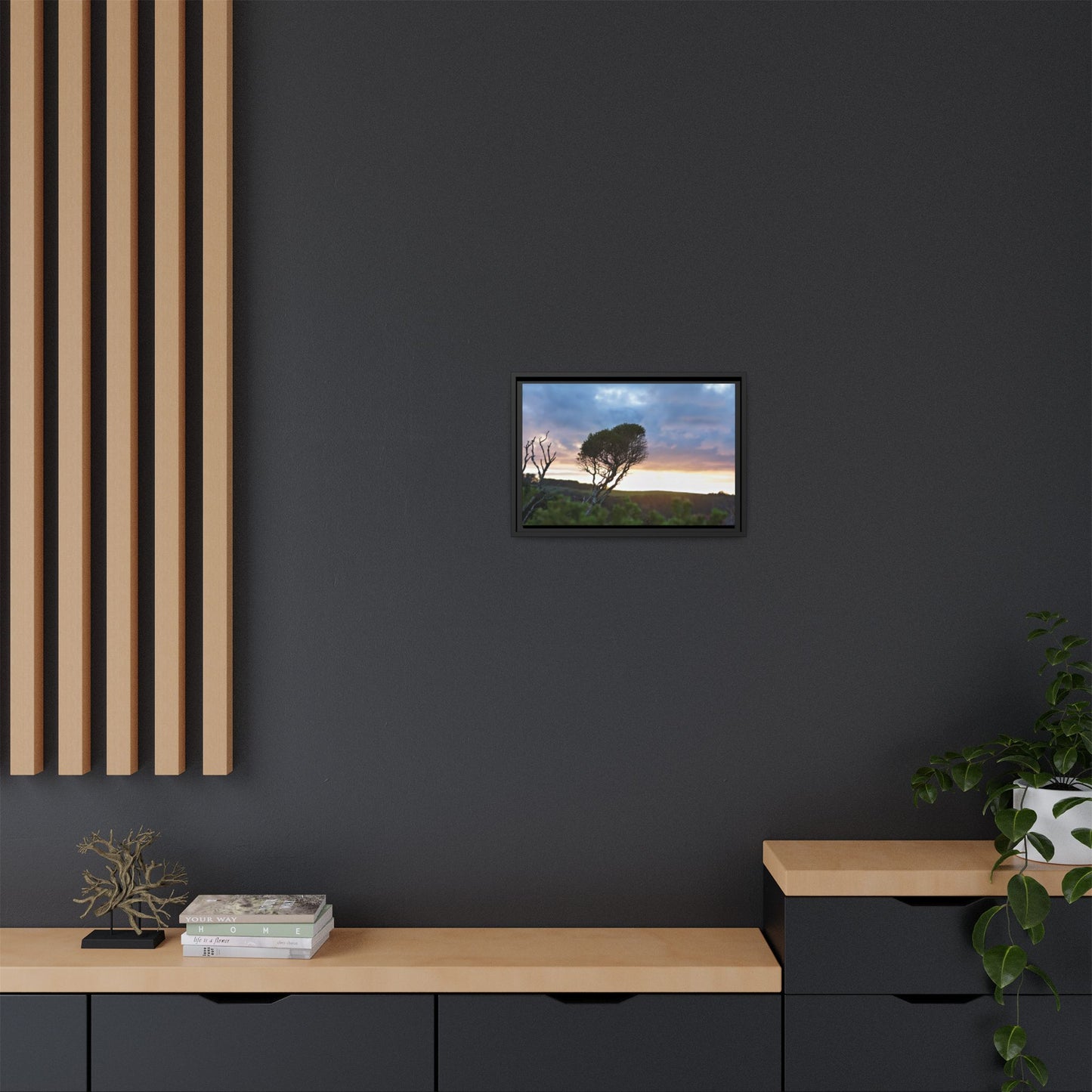 Melaleuca lanceolata in Cape Schank [6281] | Framed Canvas