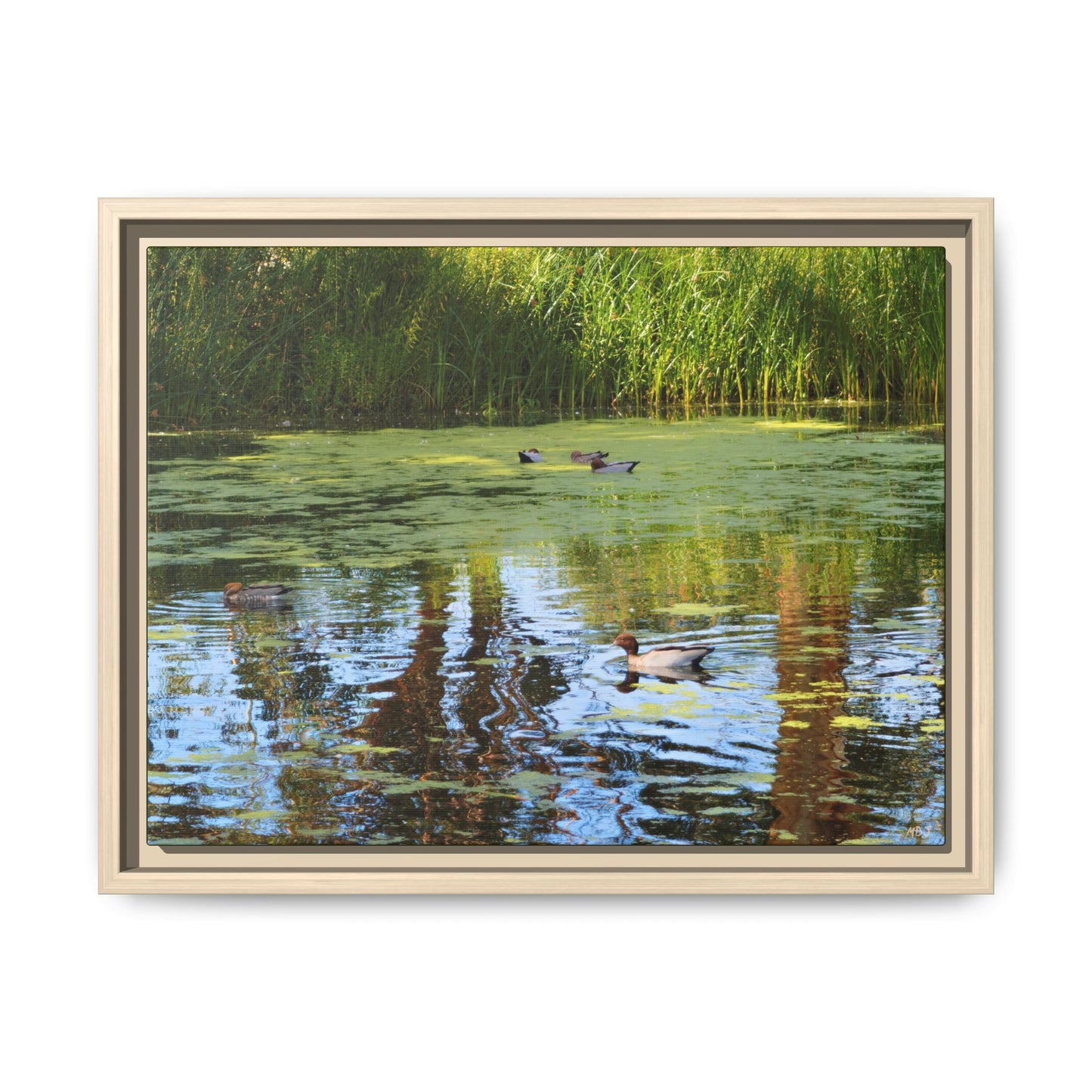 Late Morning Marsh Reflections at Croydon Park | The Framed Canvas Deployment