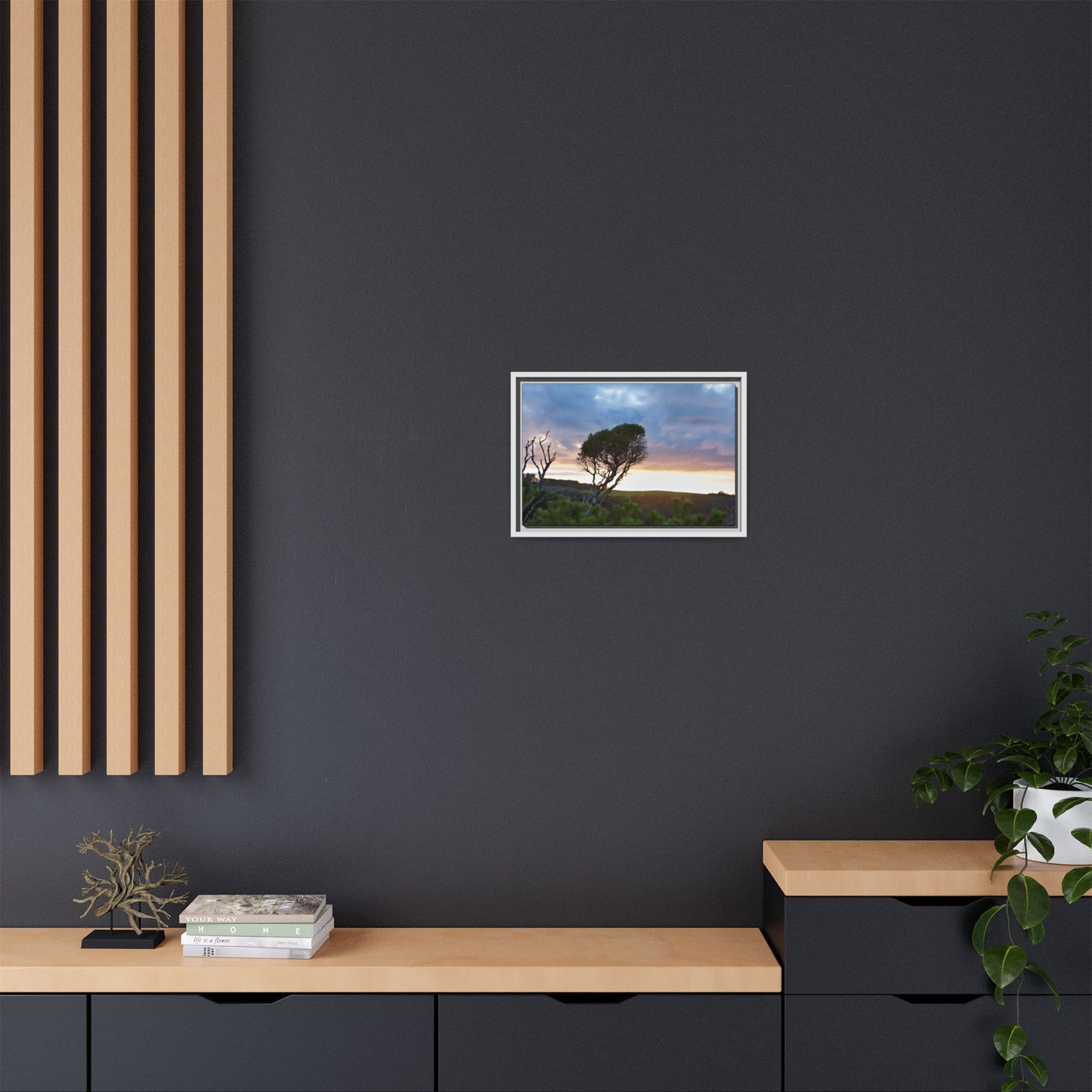 Melaleuca lanceolata in Cape Schank [6281] | Framed Canvas