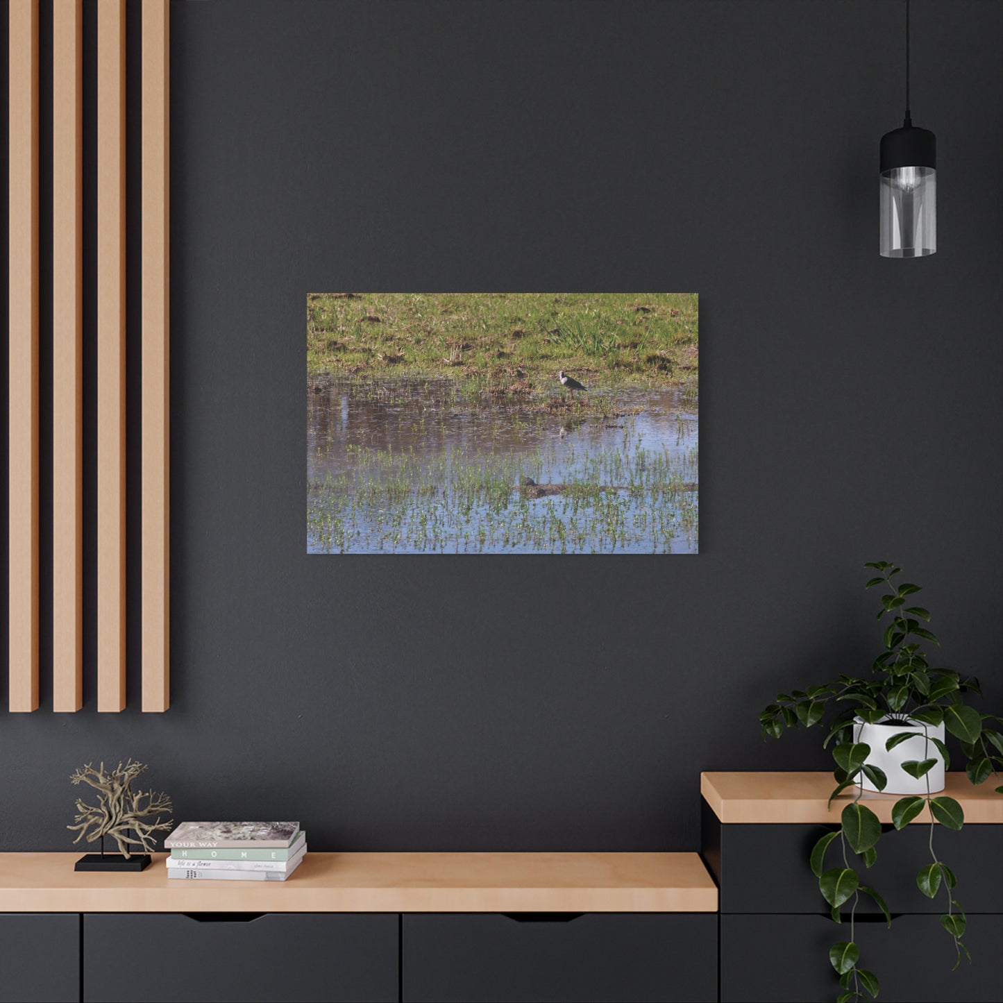 Sandpiper in Serene Wetland [2897] | Stretched Canvas