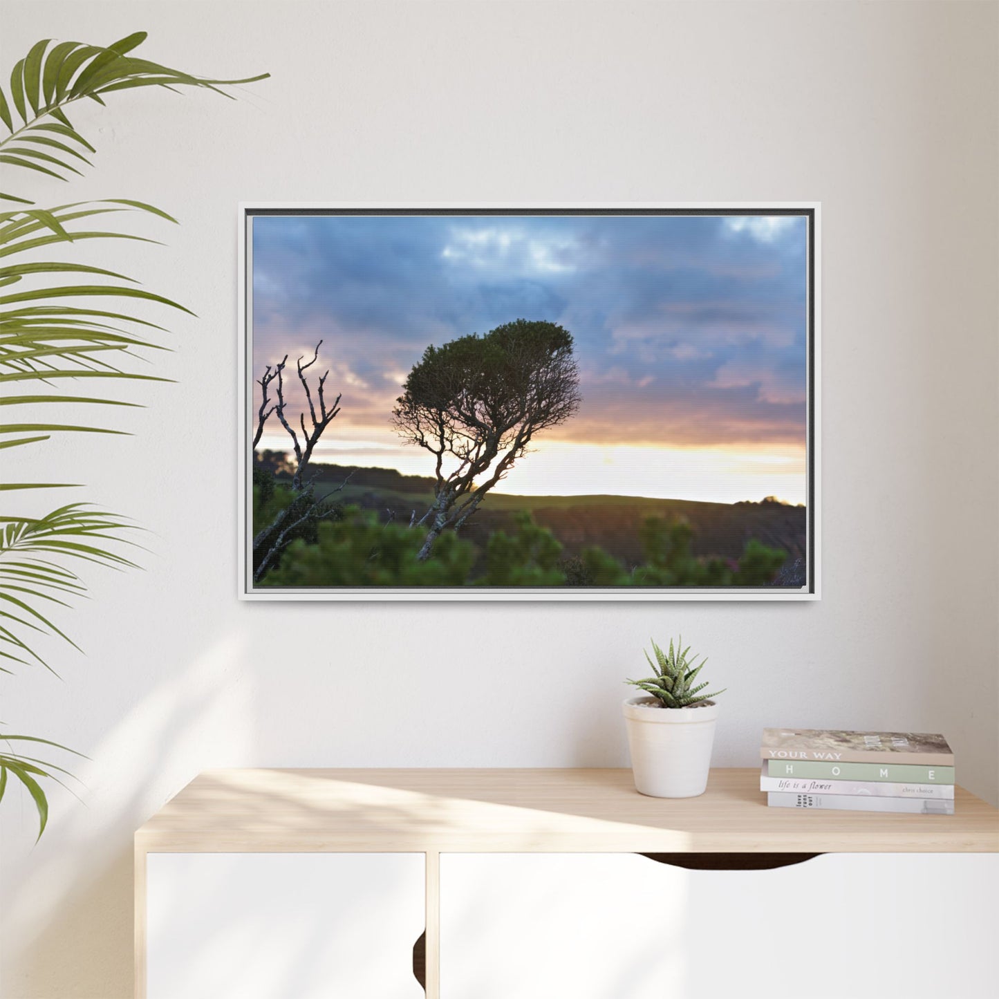 Melaleuca lanceolata in Cape Schank [6281] | Framed Canvas