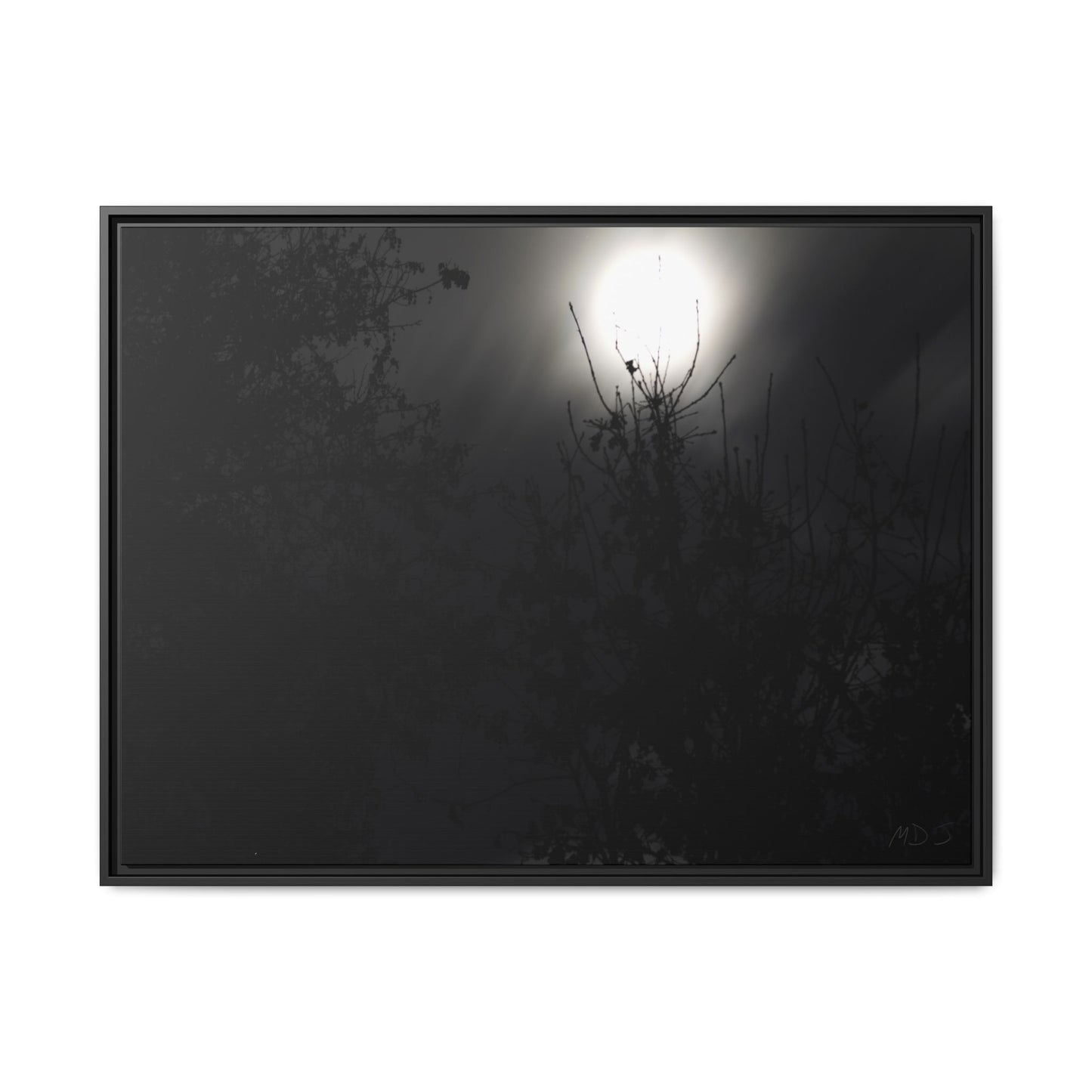 A Dance of Shadows Beneath the Moonlight [28] | Framed Canvas