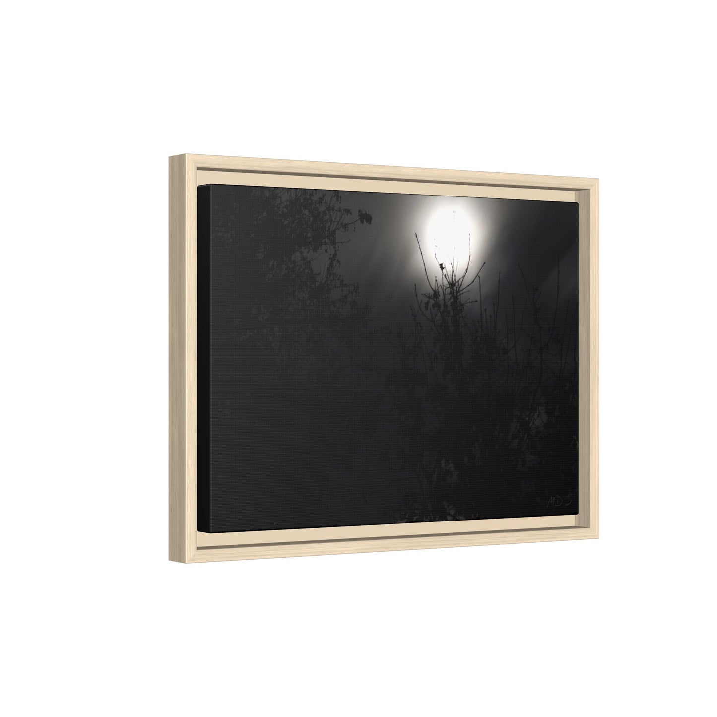 A Dance of Shadows Beneath the Moonlight [28] | Framed Canvas