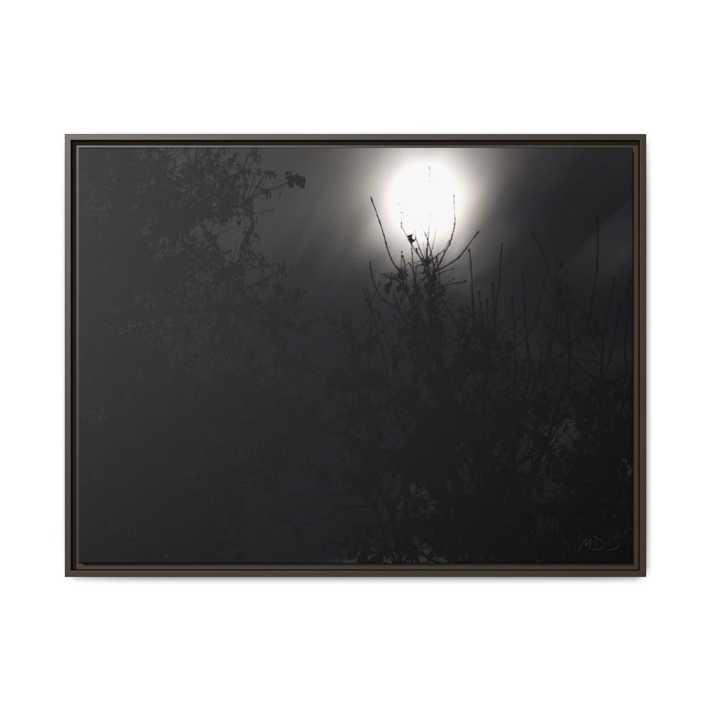 A Dance of Shadows Beneath the Moonlight [28] | Framed Canvas