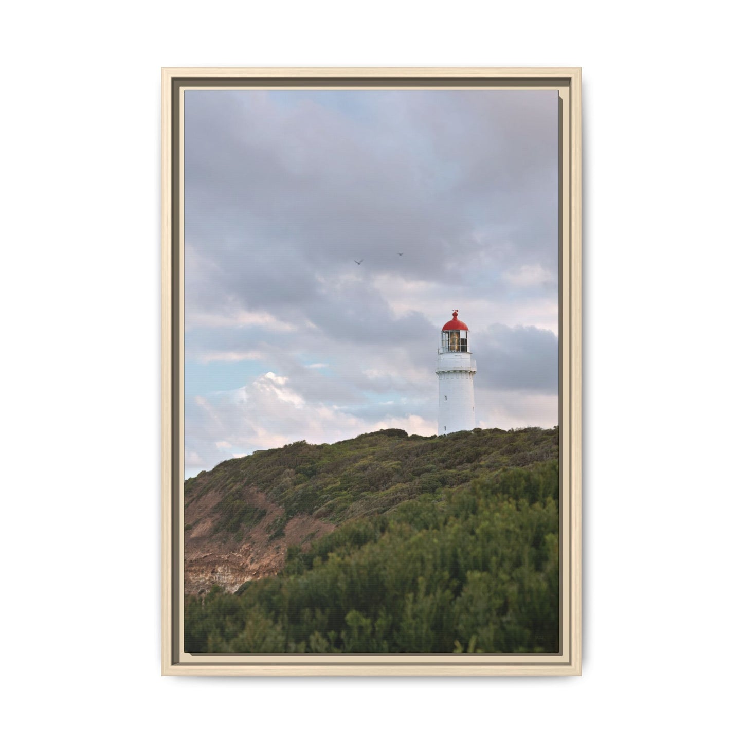 Cape Schank Lighthouse in Winter Light [6286] | Framed Canvas