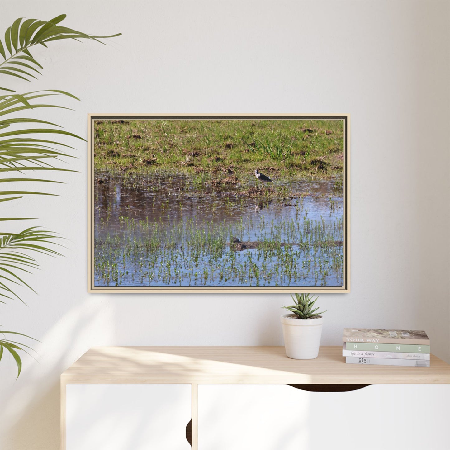 Sandpiper in Serene Wetland [2897] | Framed Canvas