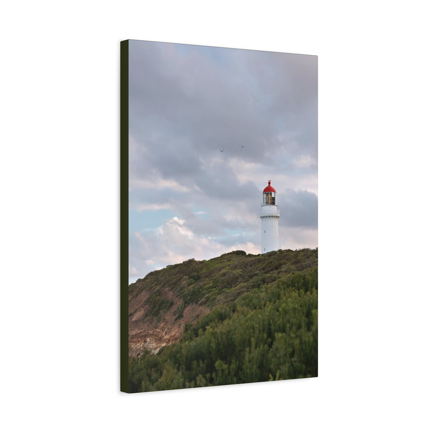 Cape Schank Lighthouse in Winter Light [6286] | Stretched Canvas