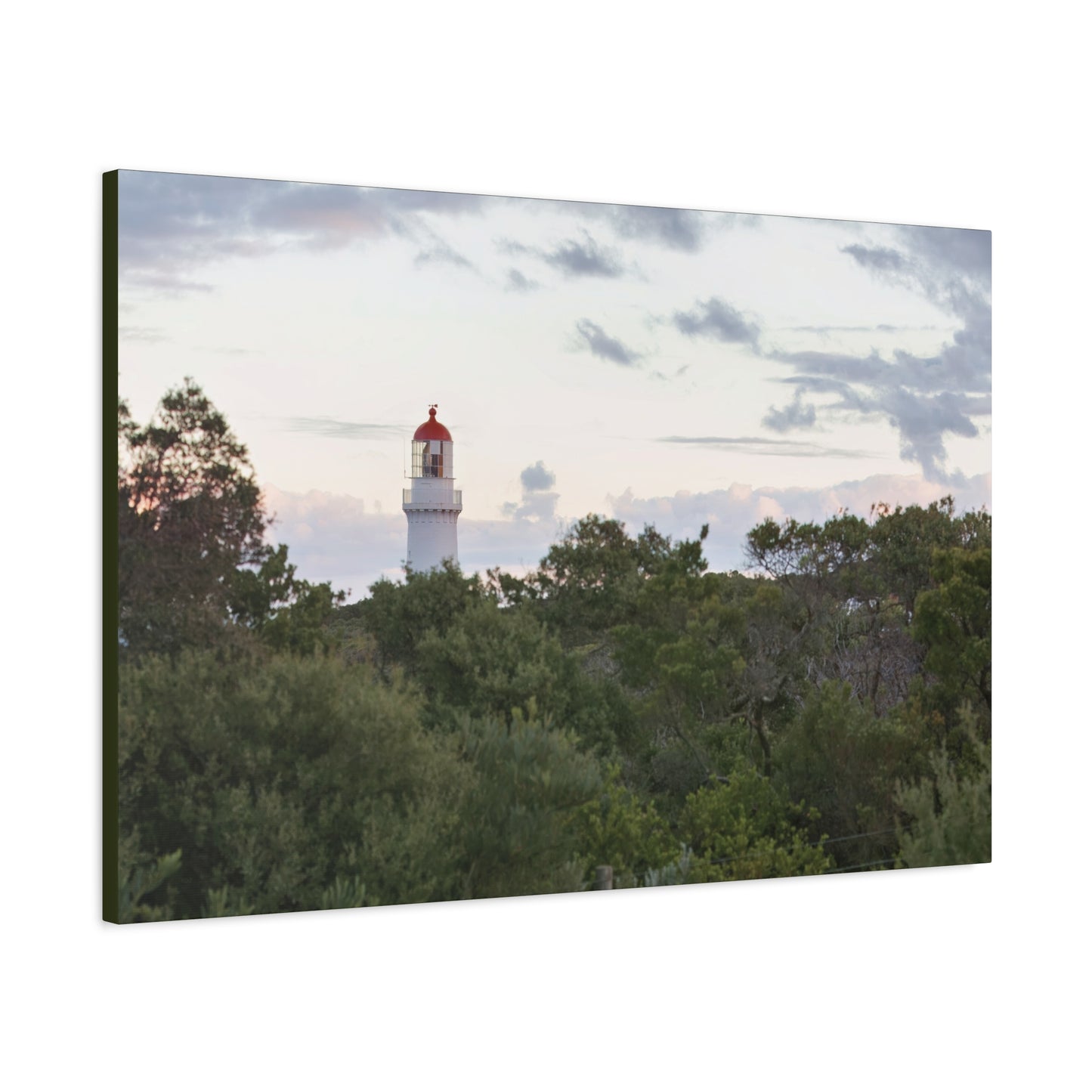 Phare de Cape Schanck, un matin d'hiver [6279] | Toile tendue