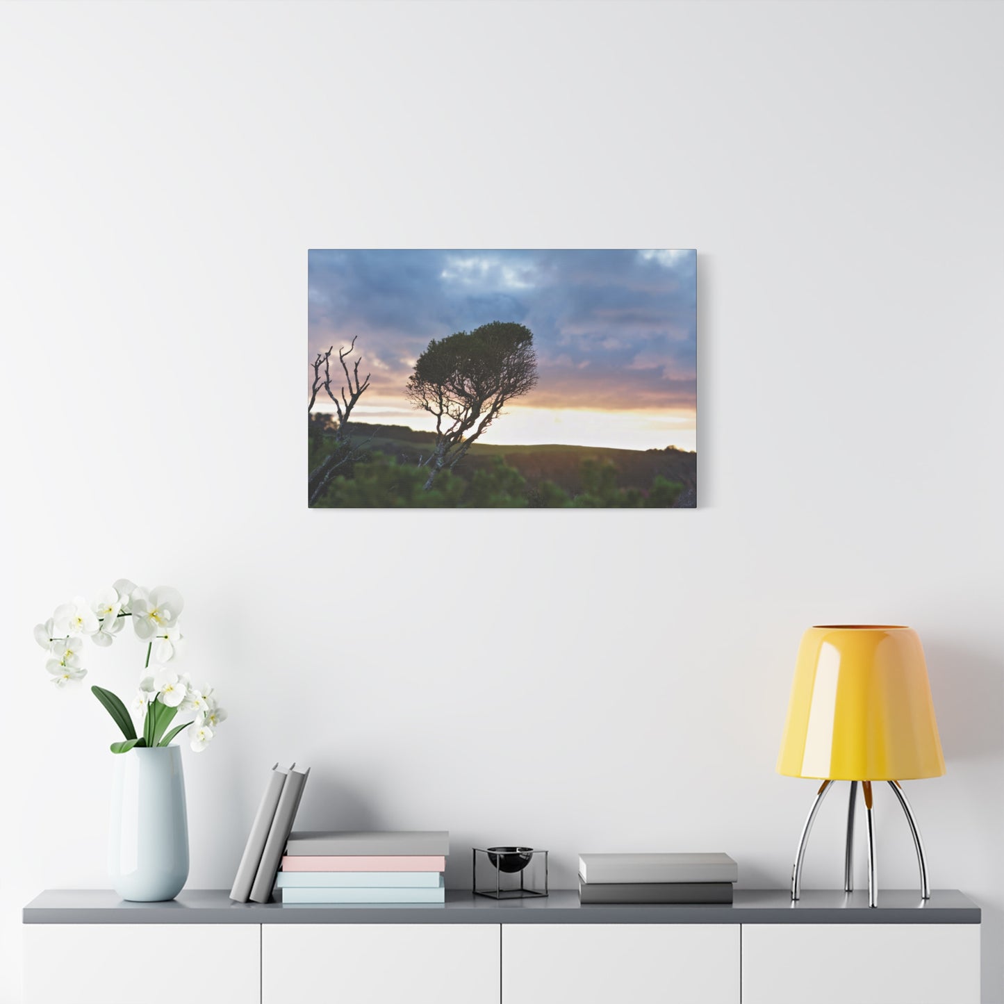 Serene Landscape of a Winter Sunrise: Melaleuca lanceolata in Cape Schank 6281 - Thick Matte Canvas Print