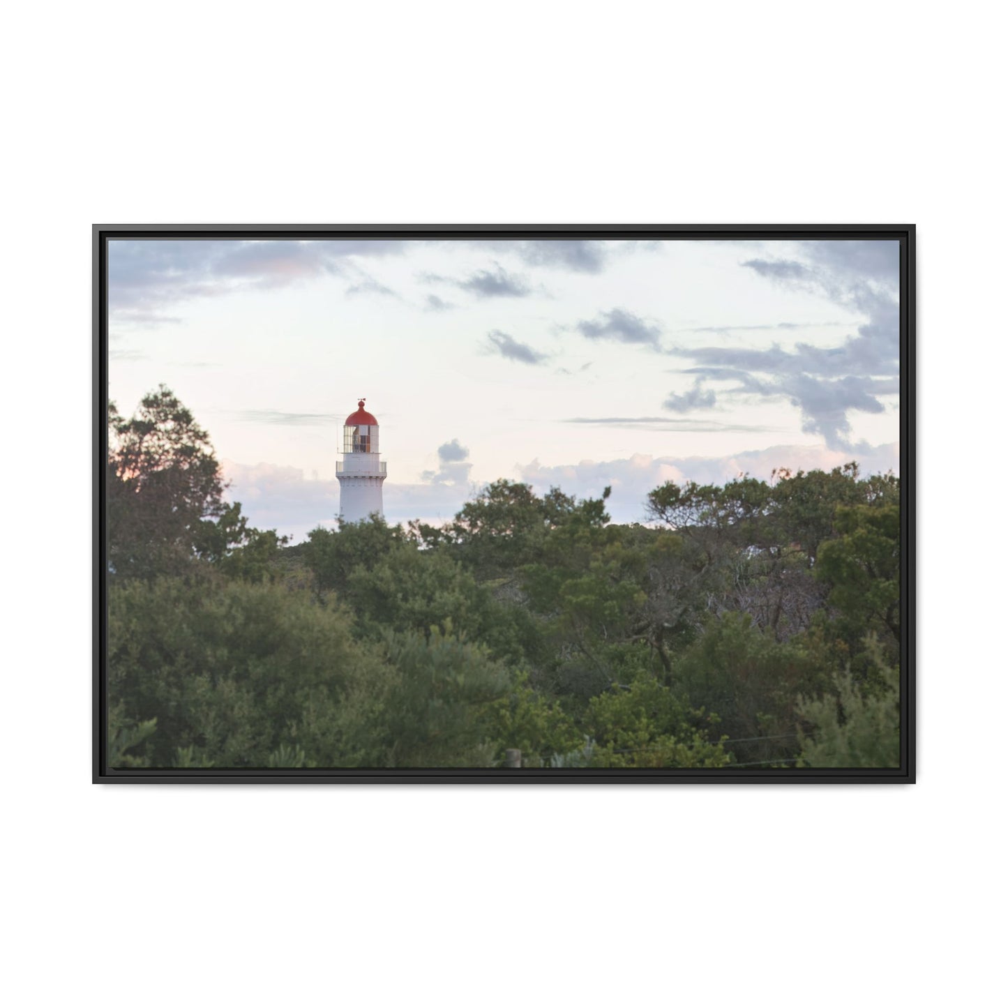 Cape Schank Lighthouse on a Winter Morning [6279] | Framed Canvas