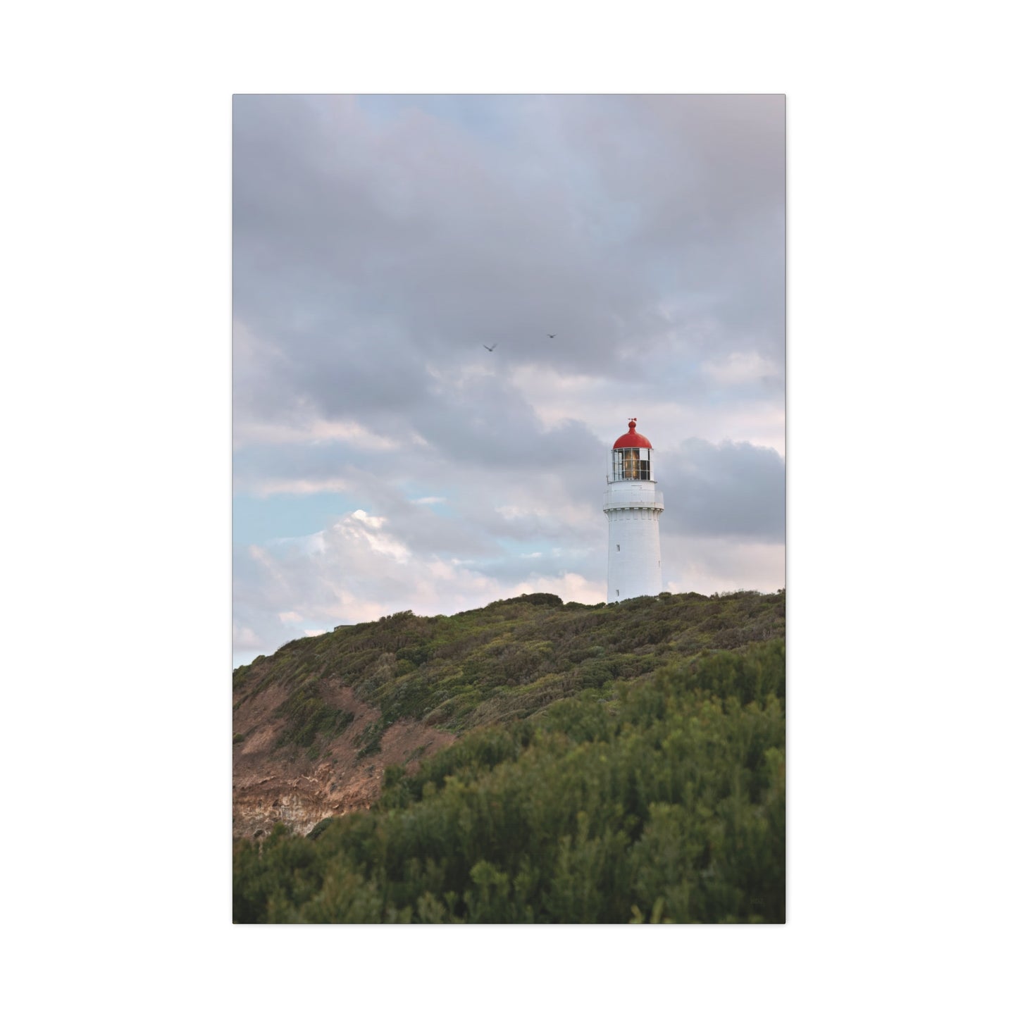 Cape Schank Lighthouse in Winter Light [6286] | Stretched Canvas