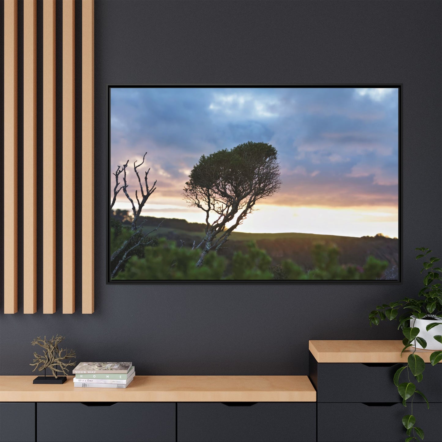 Melaleuca lanceolata in Cape Schank [6281] | Framed Canvas