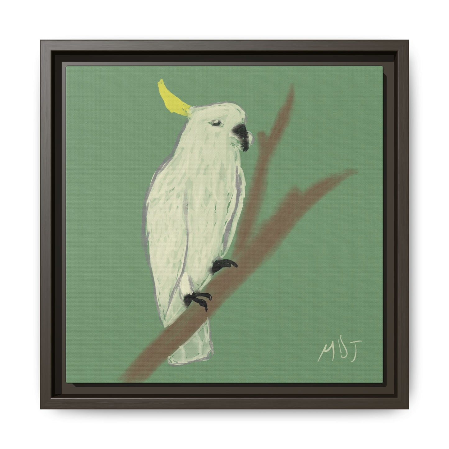 Cockatoo Charm - Framed Canvas Print