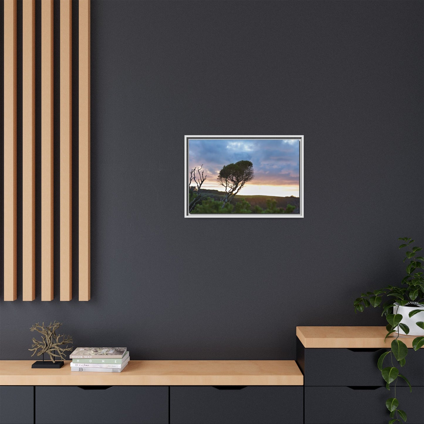 Melaleuca lanceolata in Cape Schank [6281] | Framed Canvas