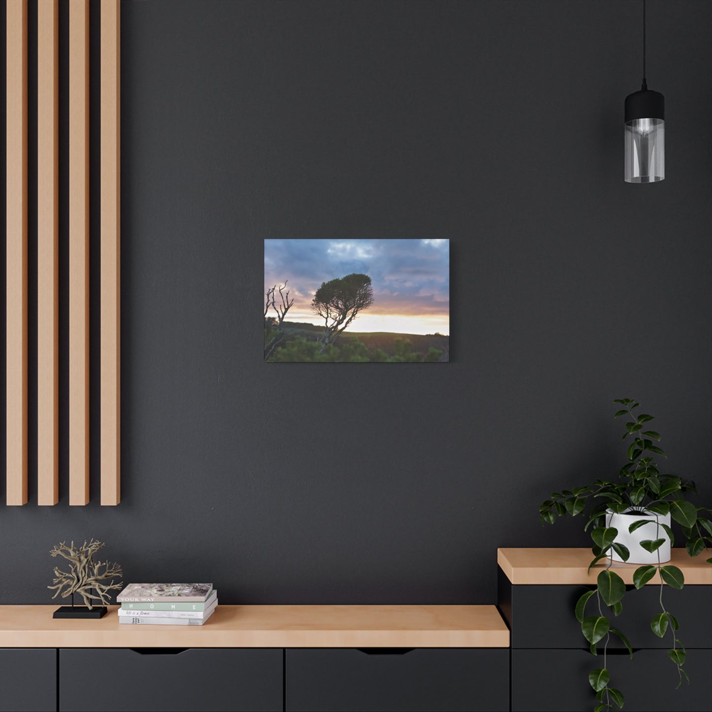 Serene Landscape of a Winter Sunrise: Melaleuca lanceolata in Cape Schank 6281 - Thick Matte Canvas Print