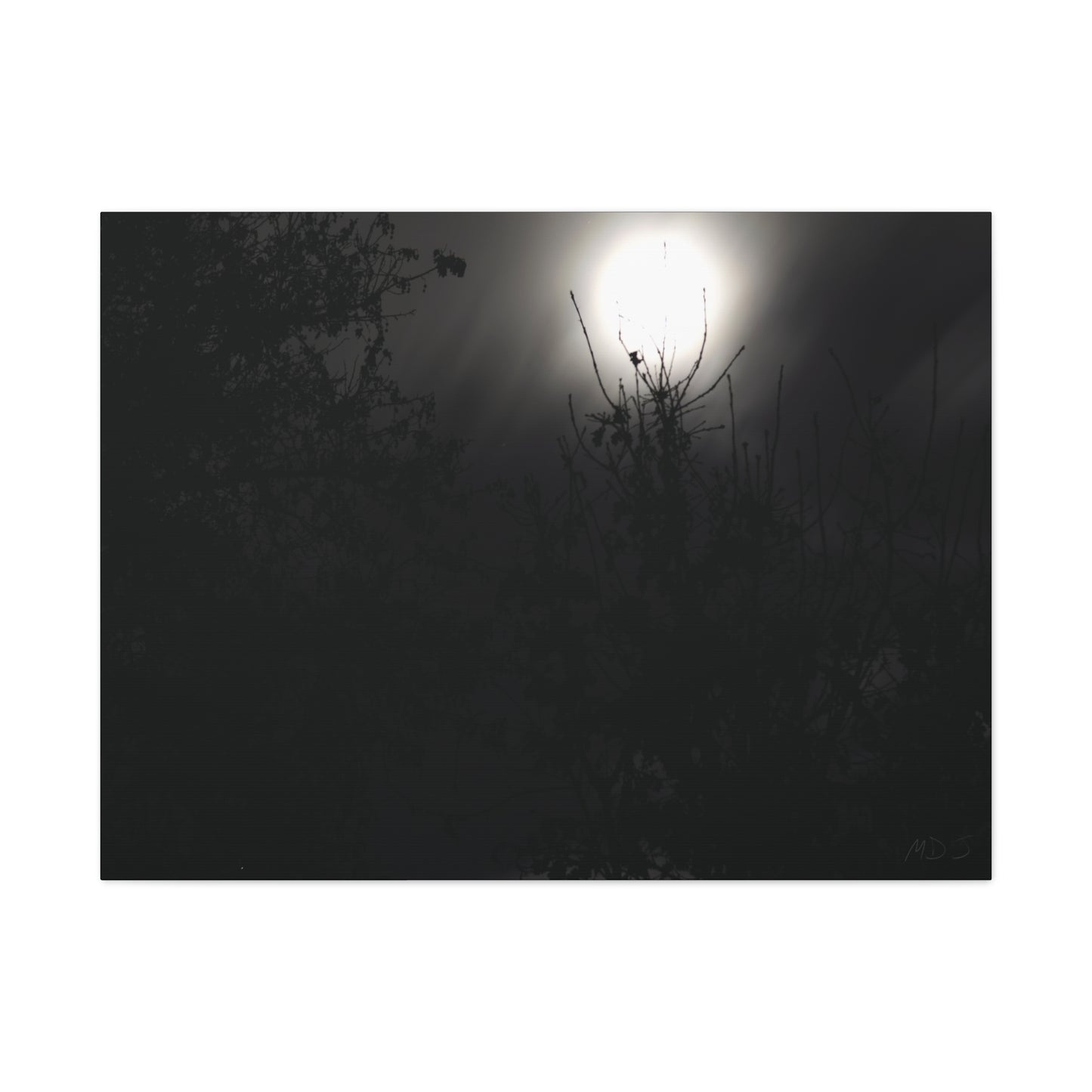 A Dance of Shadows Beneath the Moonlight [28] | Stretched Canvas