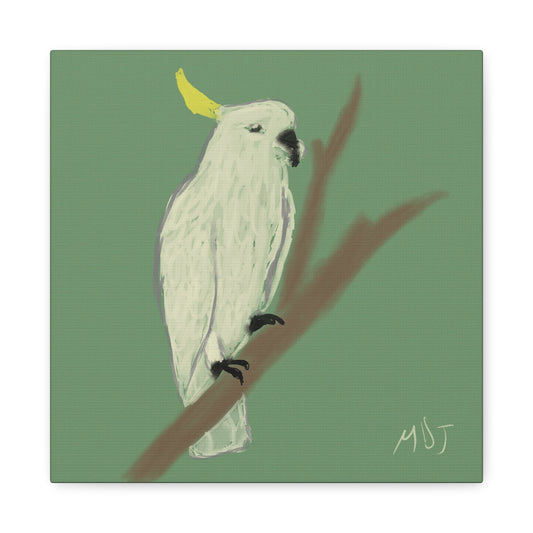 Cockatoo Charm | The Stretched Canvas Deployment