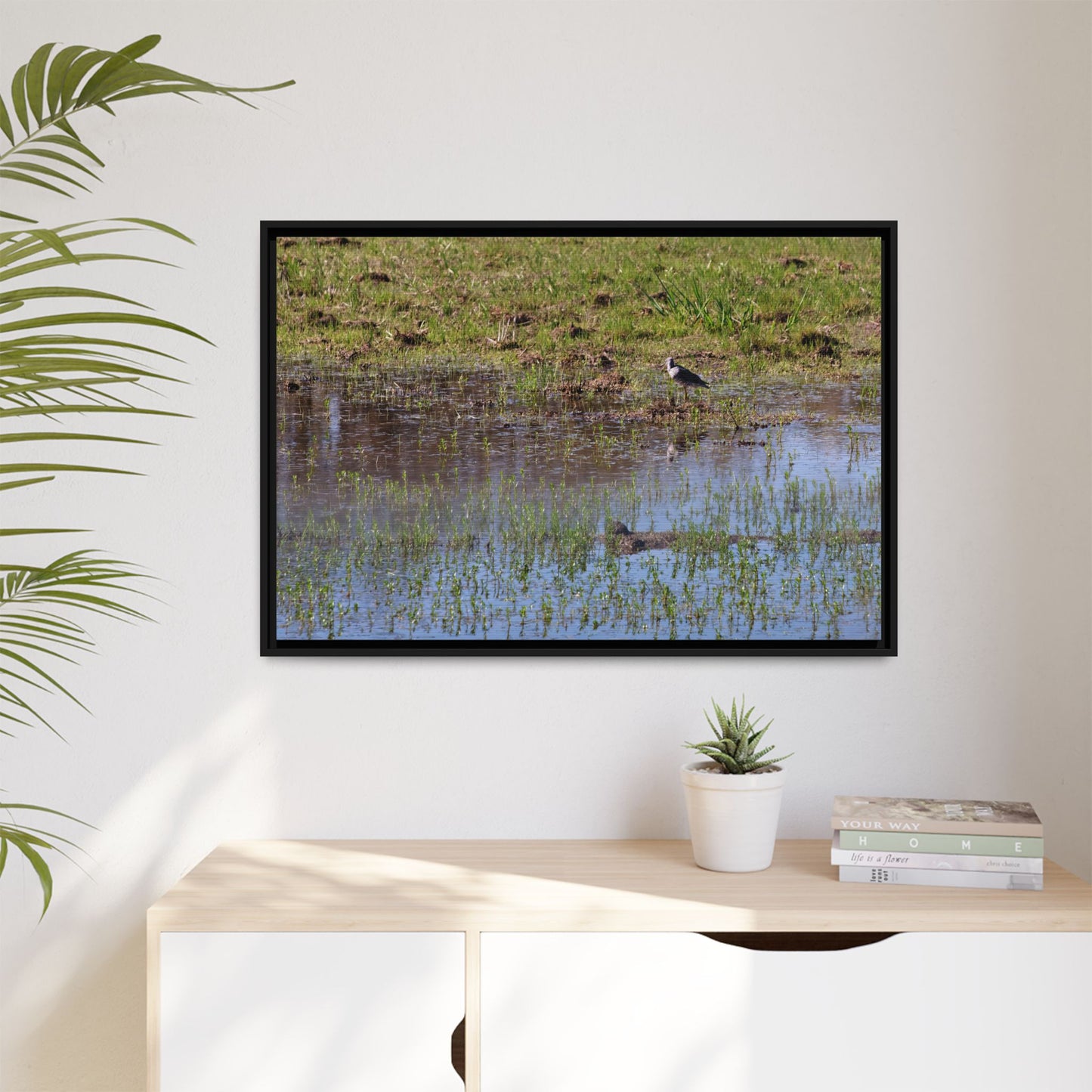 Sandpiper in Serene Wetland [2897] | Framed Canvas