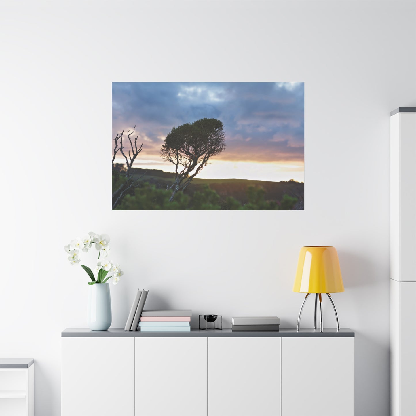 Serene Landscape of a Winter Sunrise: Melaleuca lanceolata in Cape Schank 6281 - Thick Matte Canvas Print