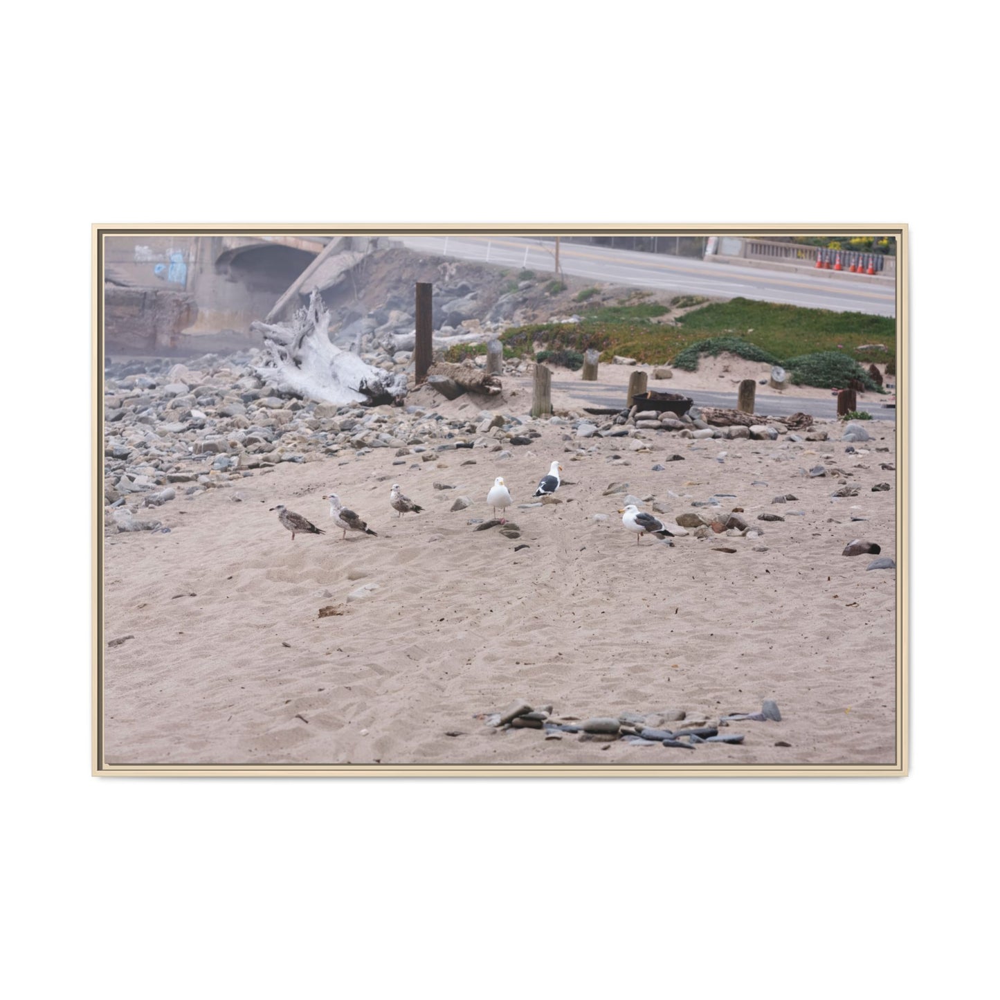 California Shoreline Escape [4275] | Framed Canvas