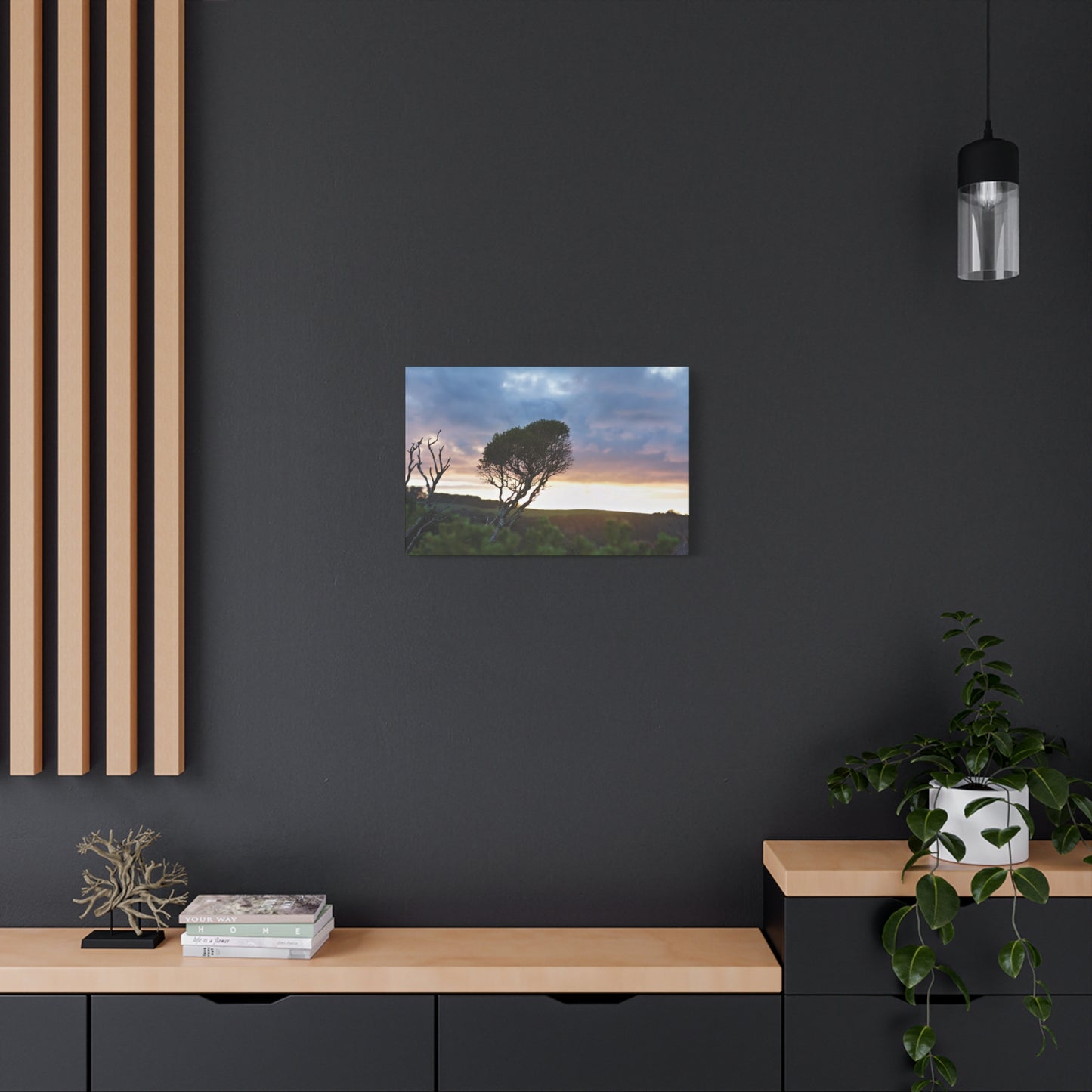 Melaleuca lanceolata in Cape Schank [6281] | Stretched Canvas