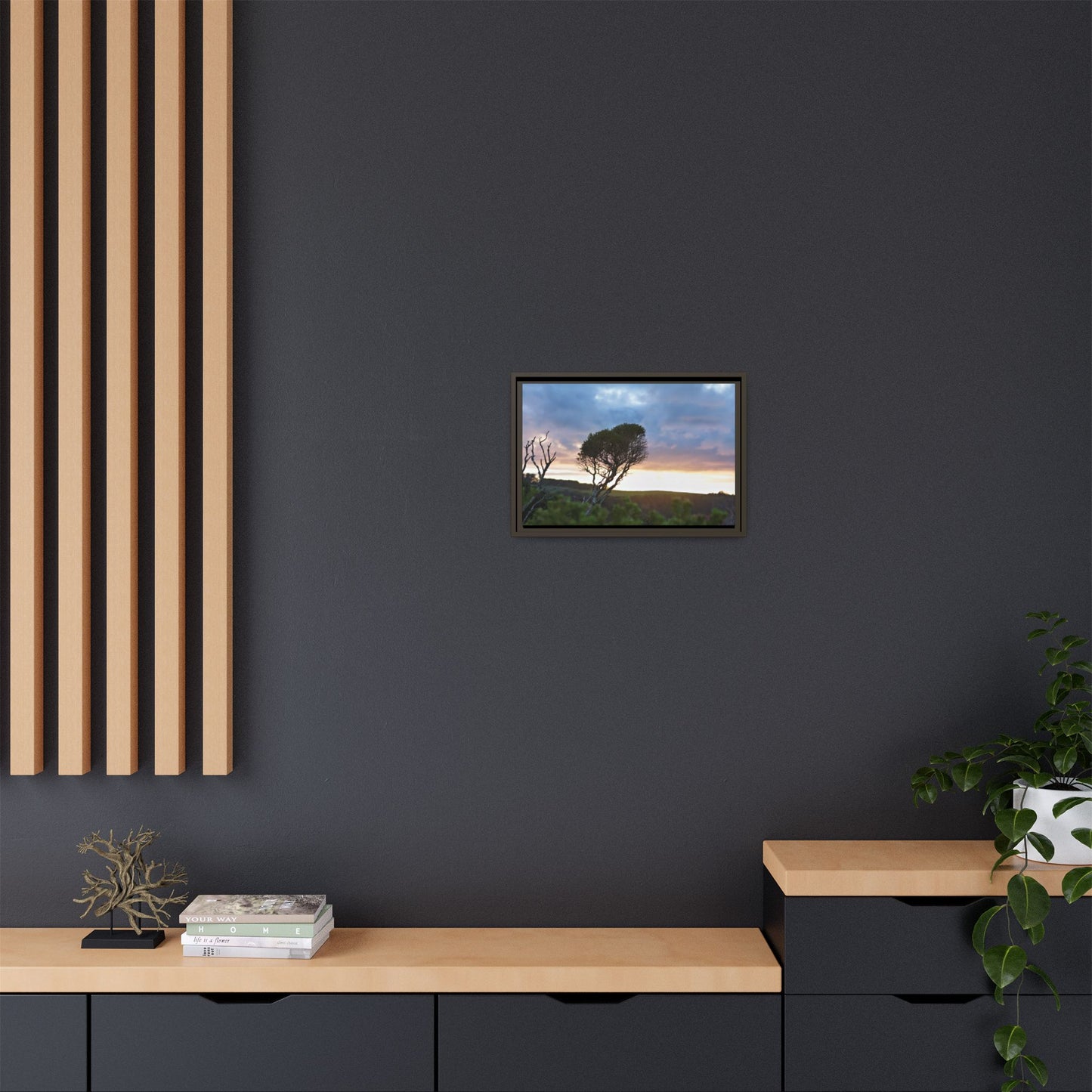 Melaleuca lanceolata in Cape Schank [6281] | Framed Canvas