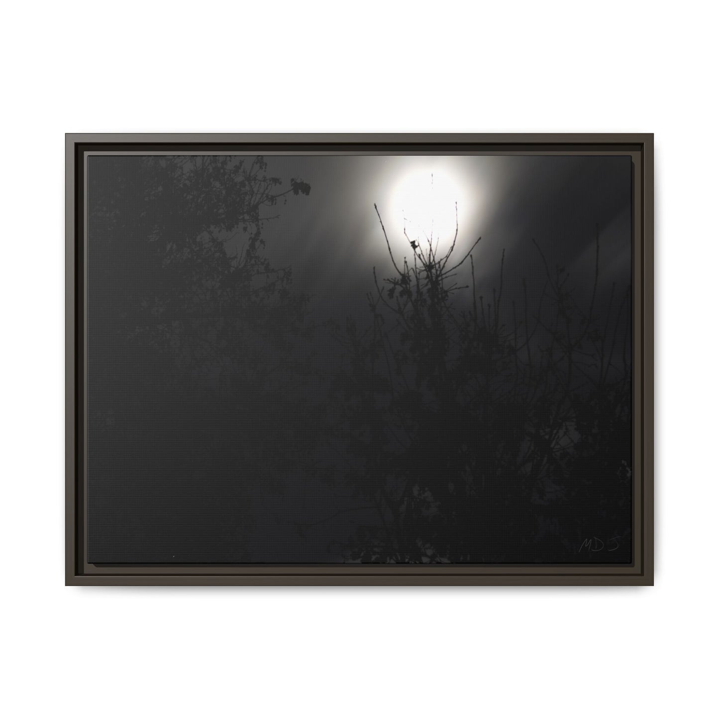 A Dance of Shadows Beneath the Moonlight [28] | Framed Canvas