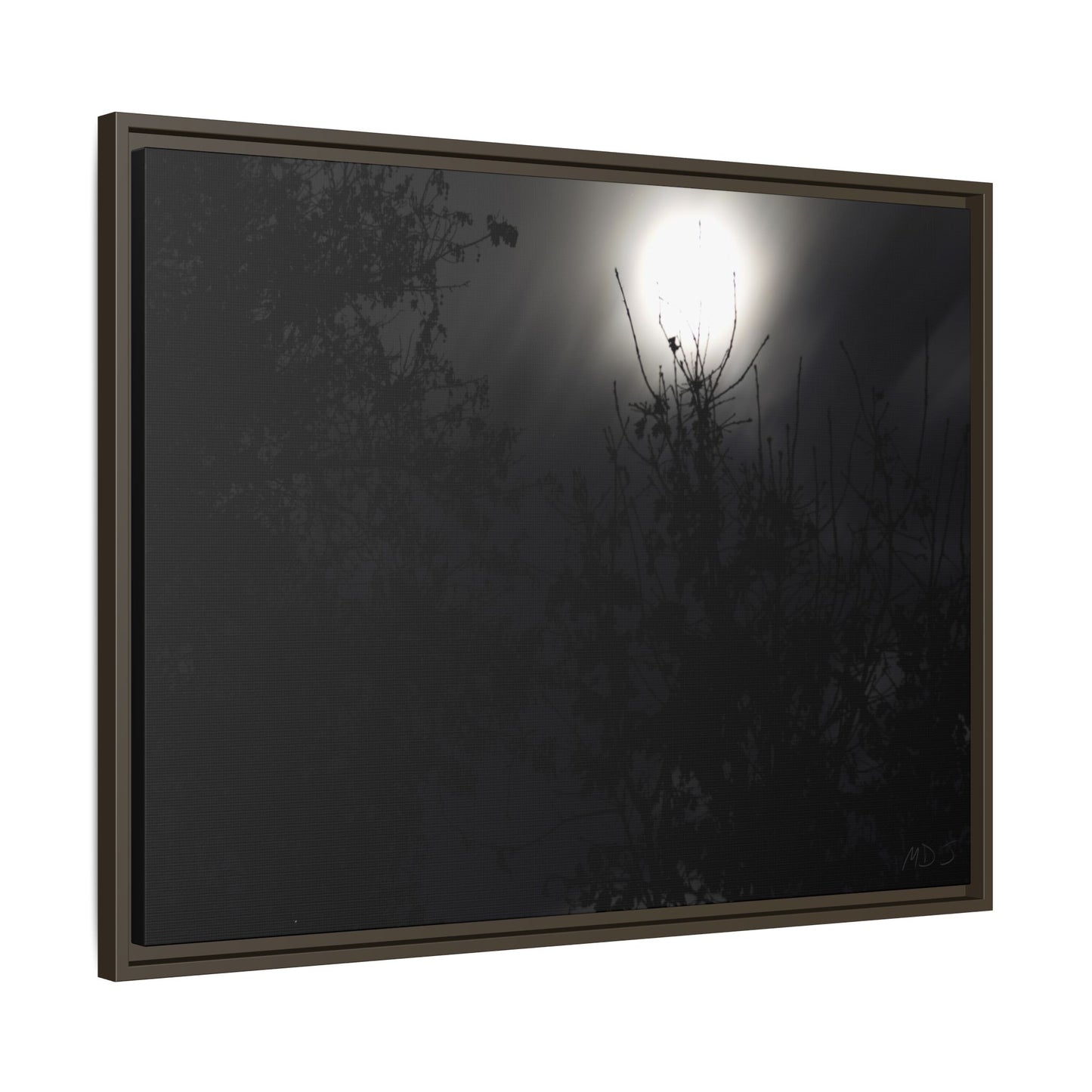 A Dance of Shadows Beneath the Moonlight [28] | Framed Canvas
