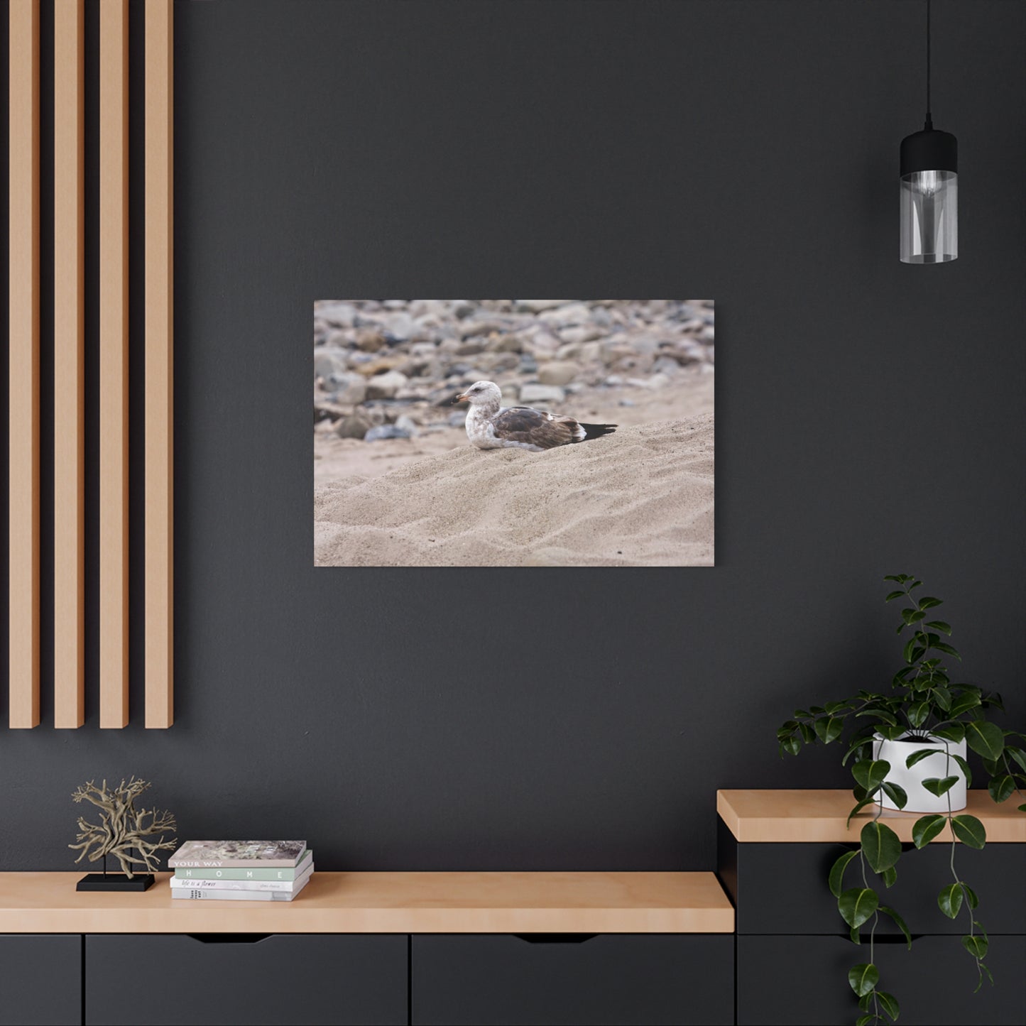 Seagull Serenity on the Shore 4278 - Thick Matte Canvas Print