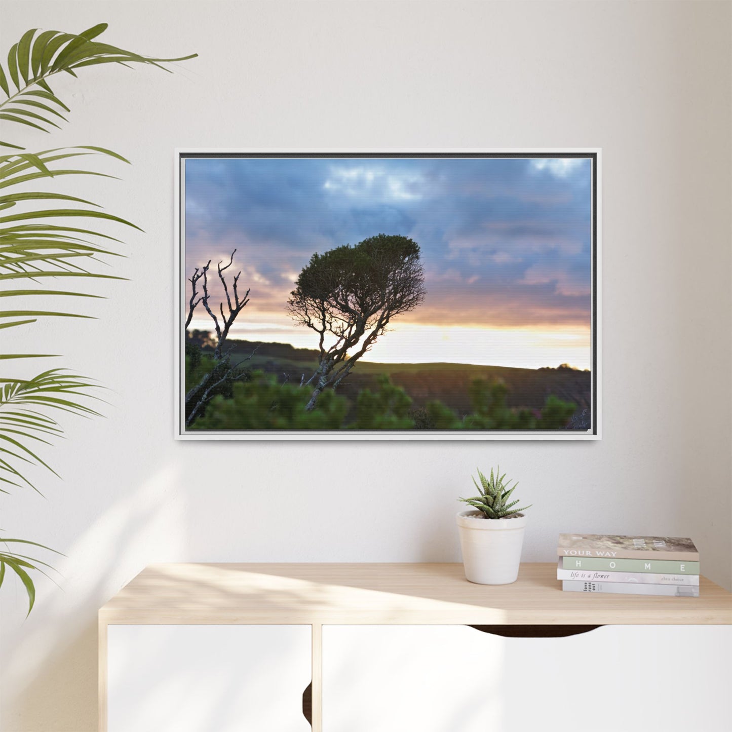 Serene Landscape of a Winter Sunrise: Melaleuca lanceolata in Cape Schank 6281 - Thick Matte Canvas Print, Framed