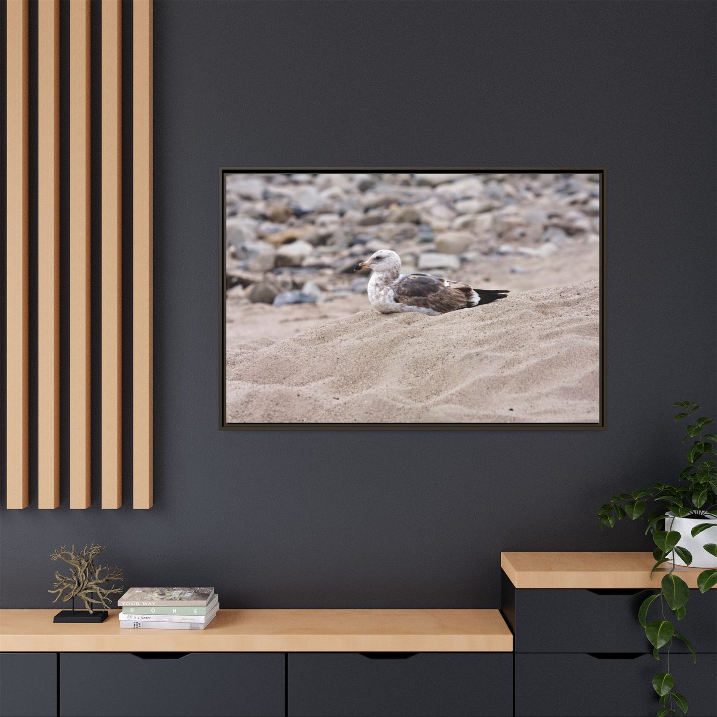 Seagull Serenity on the Shore 4278 - Thick Matte Canvas Print, Framed