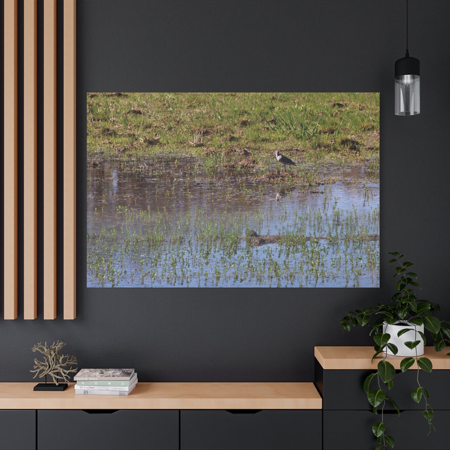 Sandpiper in Serene Wetland [2897] | Stretched Canvas