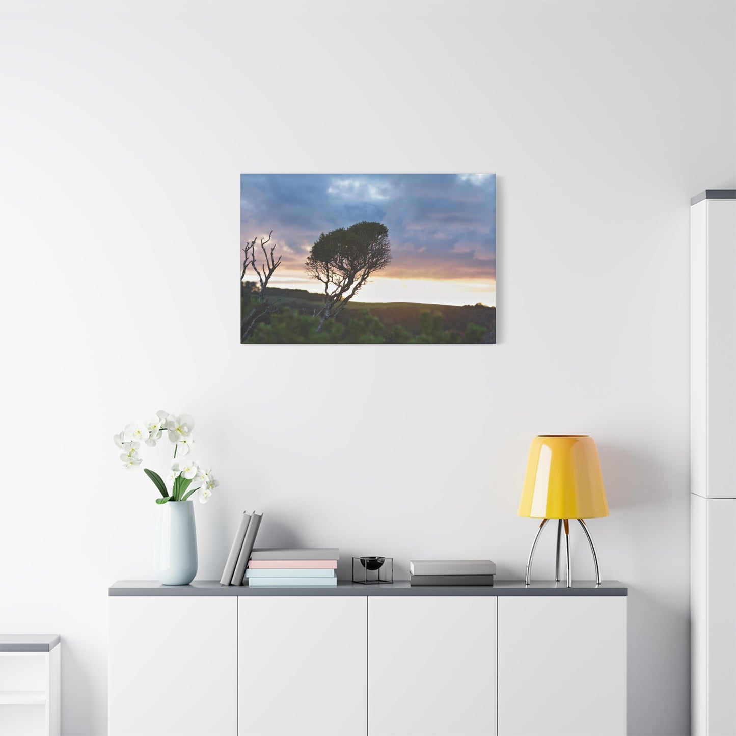 Serene Landscape of a Winter Sunrise: Melaleuca lanceolata in Cape Schank 6281 - Thick Matte Canvas Print