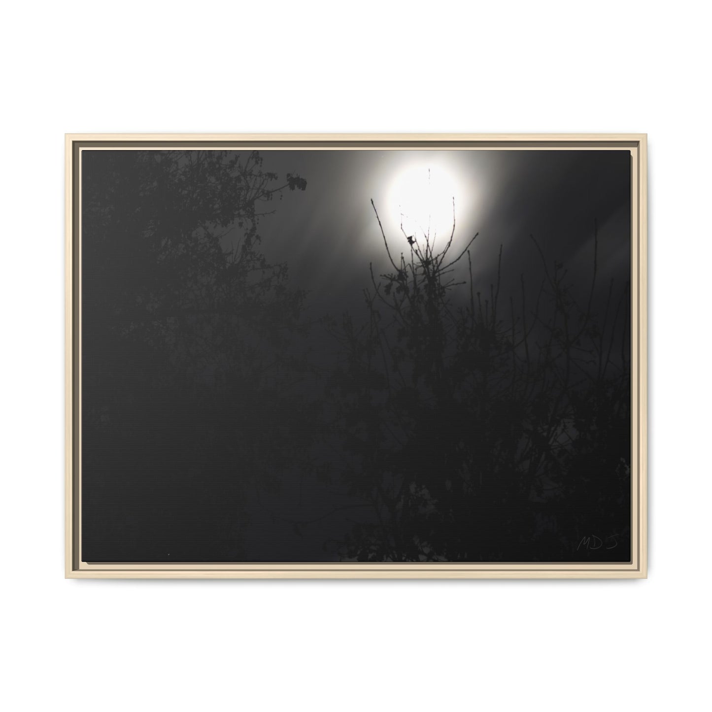 A Dance of Shadows Beneath the Moonlight [28] | Framed Canvas