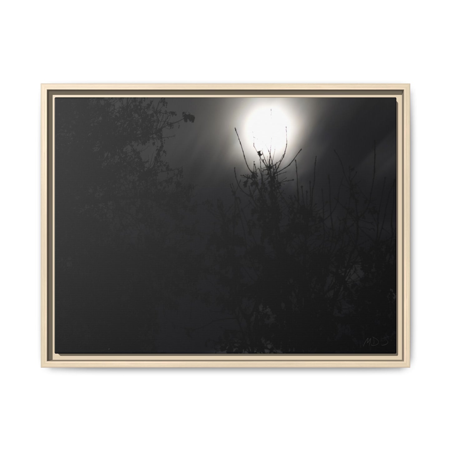 A Dance of Shadows Beneath the Moonlight [28] | Framed Canvas