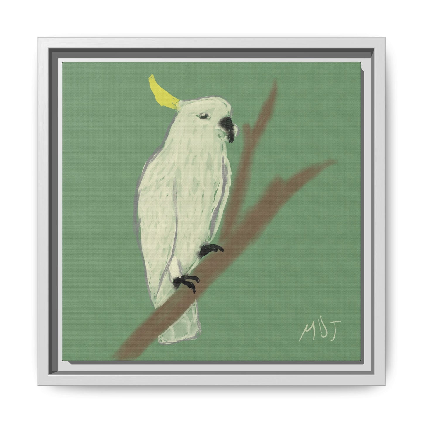 Cockatoo Charm - Framed Canvas Print