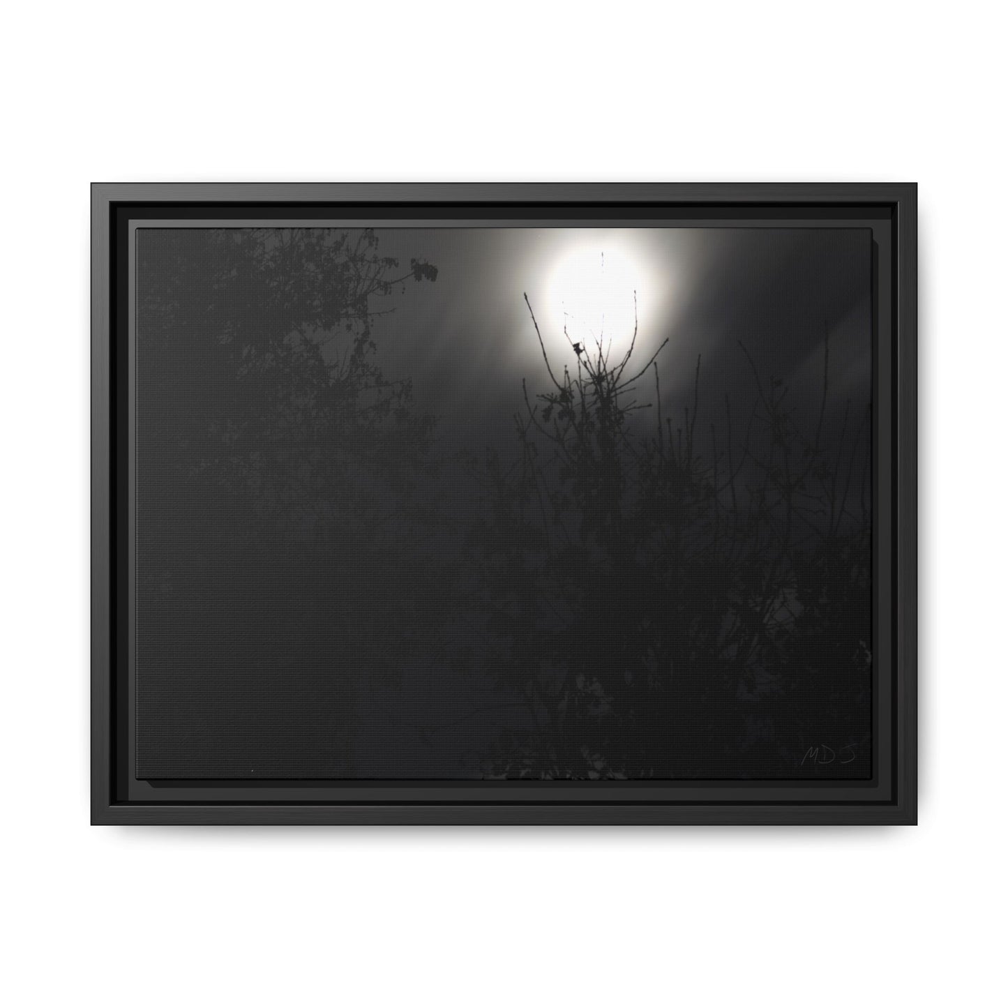 A Dance of Shadows Beneath the Moonlight [28] | Framed Canvas