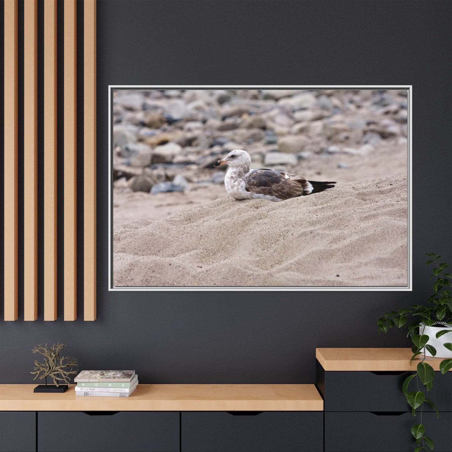 Seagull Serenity on the Shore 4278 - Thick Matte Canvas Print, Framed