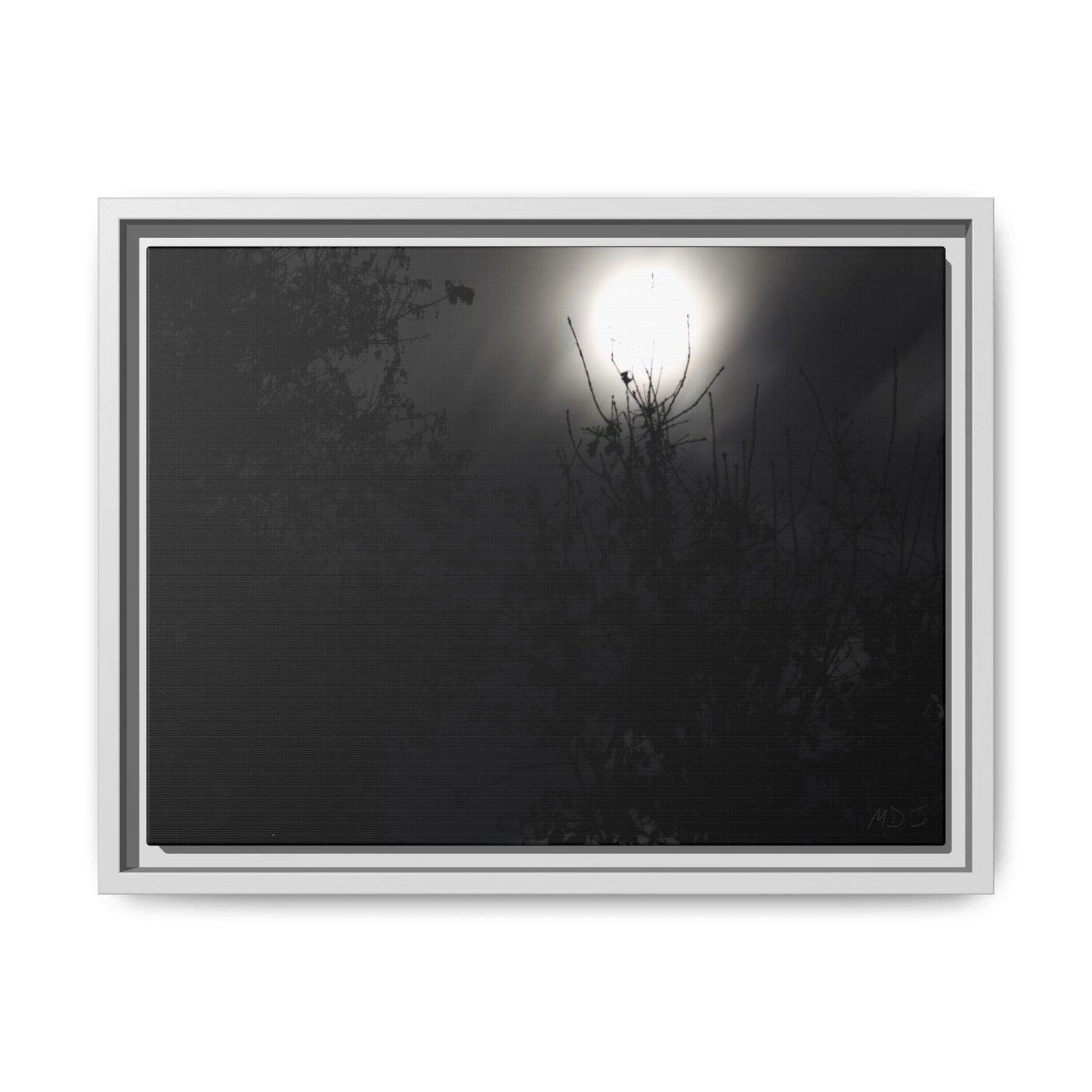 A Dance of Shadows Beneath the Moonlight [28] | Framed Canvas