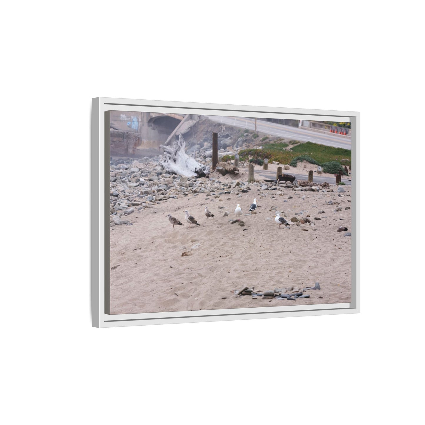 California Shoreline Escape [4275] | Framed Canvas