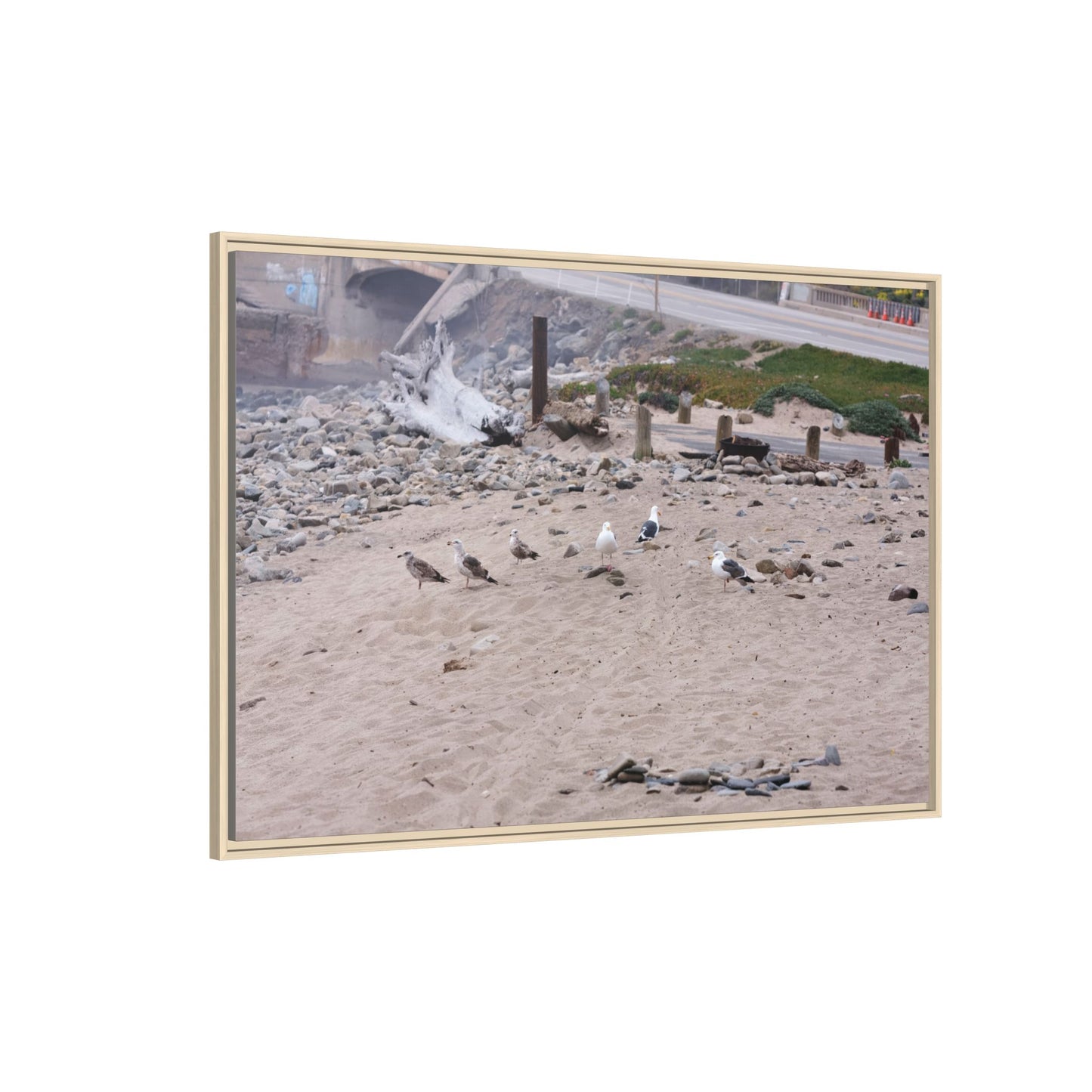 California Shoreline Escape [4275] | Framed Canvas