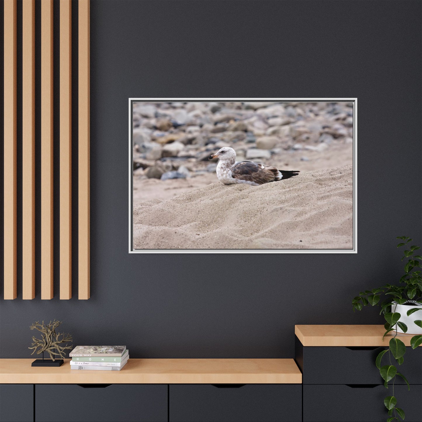 Seagull Serenity on the Shore 4278 - Thick Matte Canvas Print, Framed