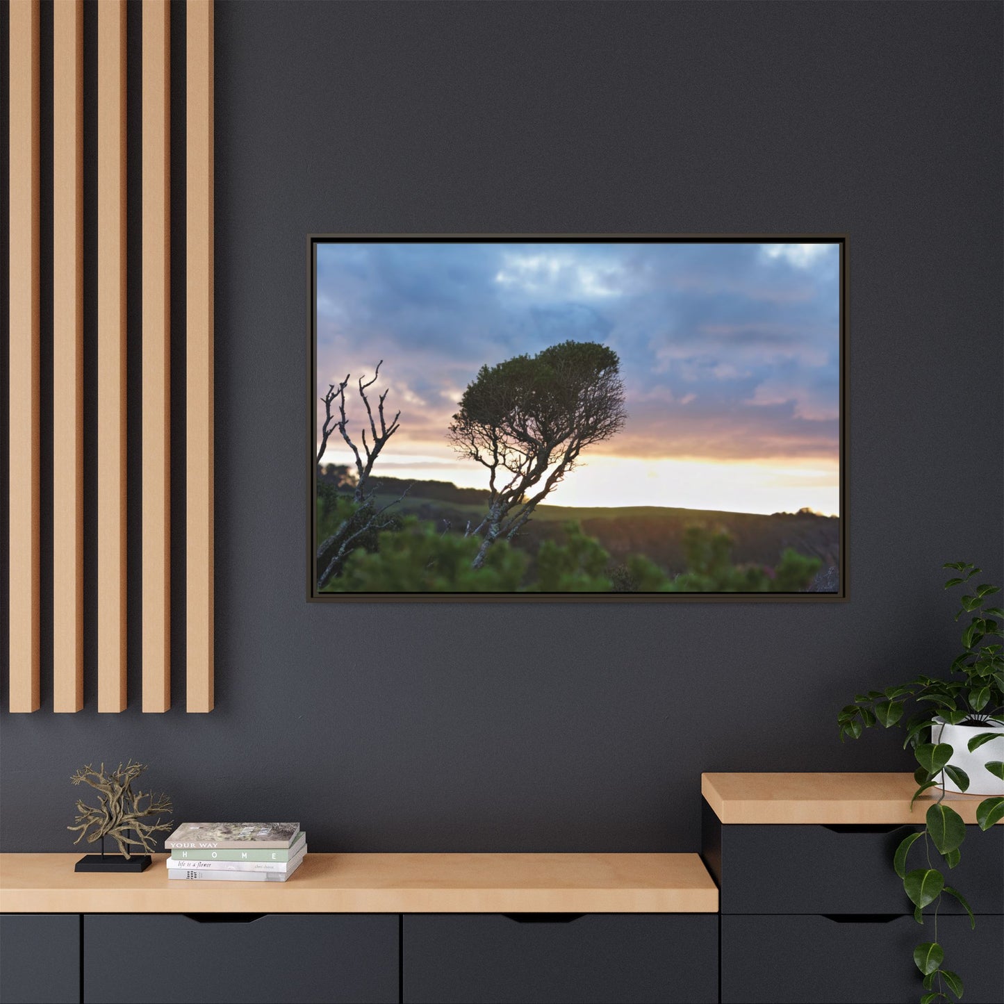 Serene Landscape of a Winter Sunrise: Melaleuca lanceolata in Cape Schank 6281 - Thick Matte Canvas Print, Framed