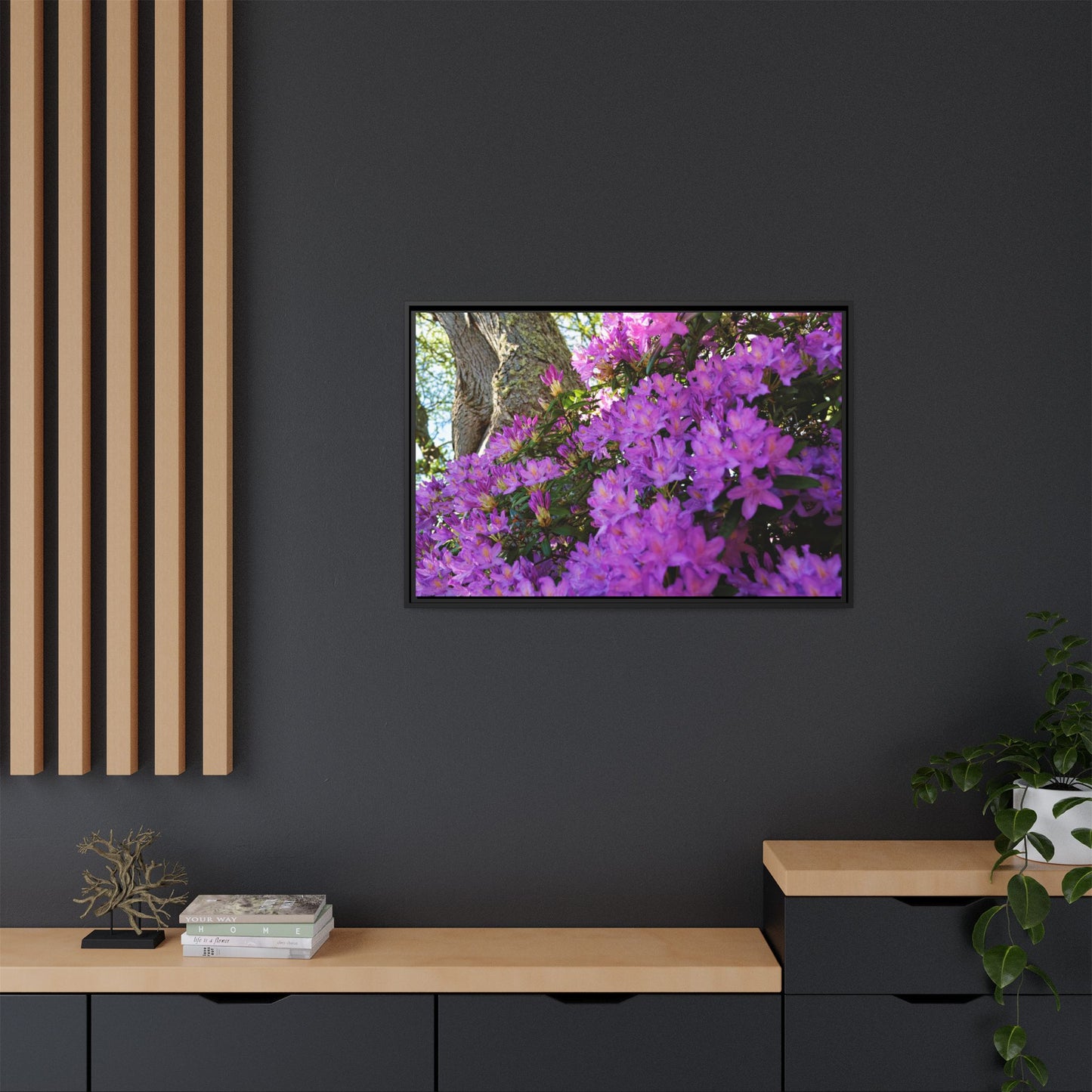 Azaleas in Bloom [3011] | Framed Canvas