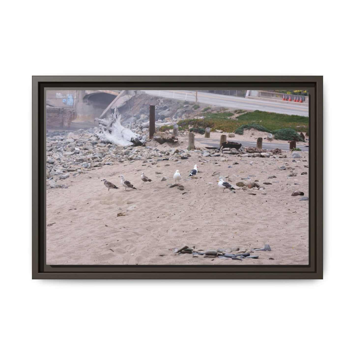 California Shoreline Escape [4275] | Framed Canvas
