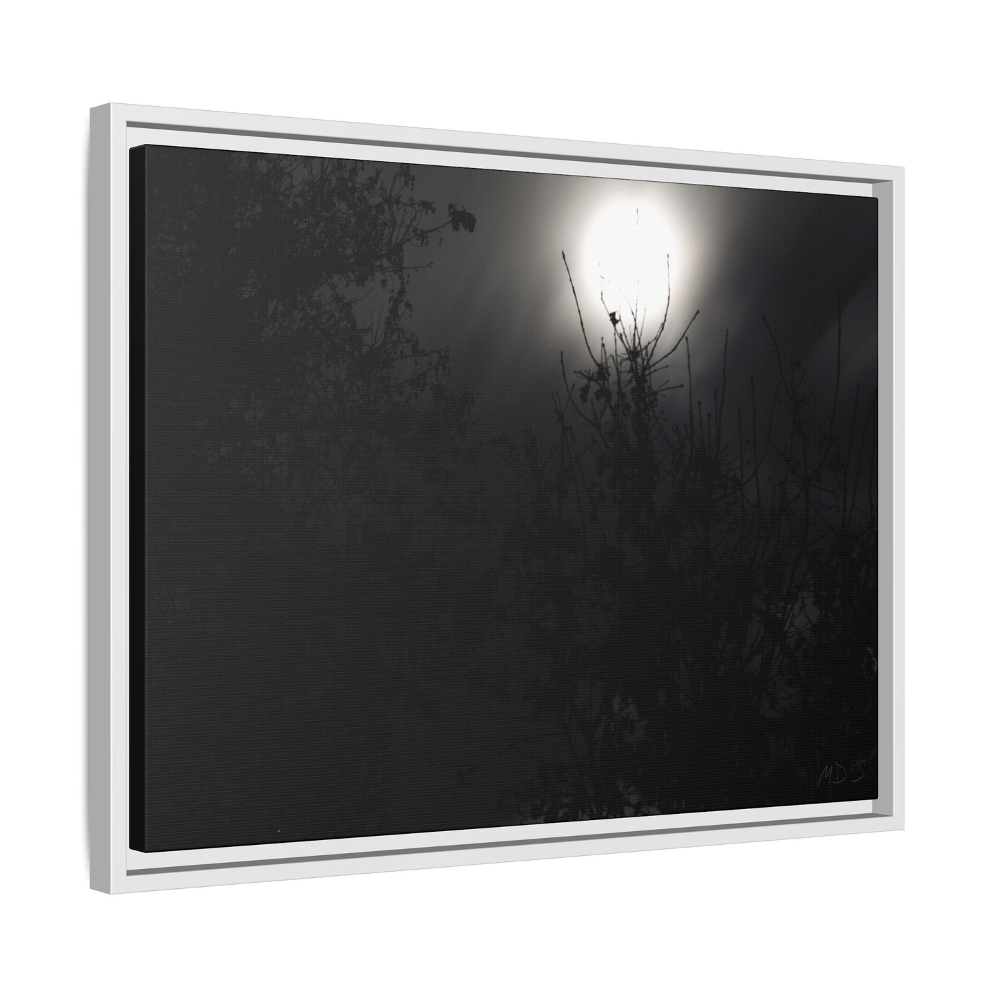 A Dance of Shadows Beneath the Moonlight [28] | Framed Canvas
