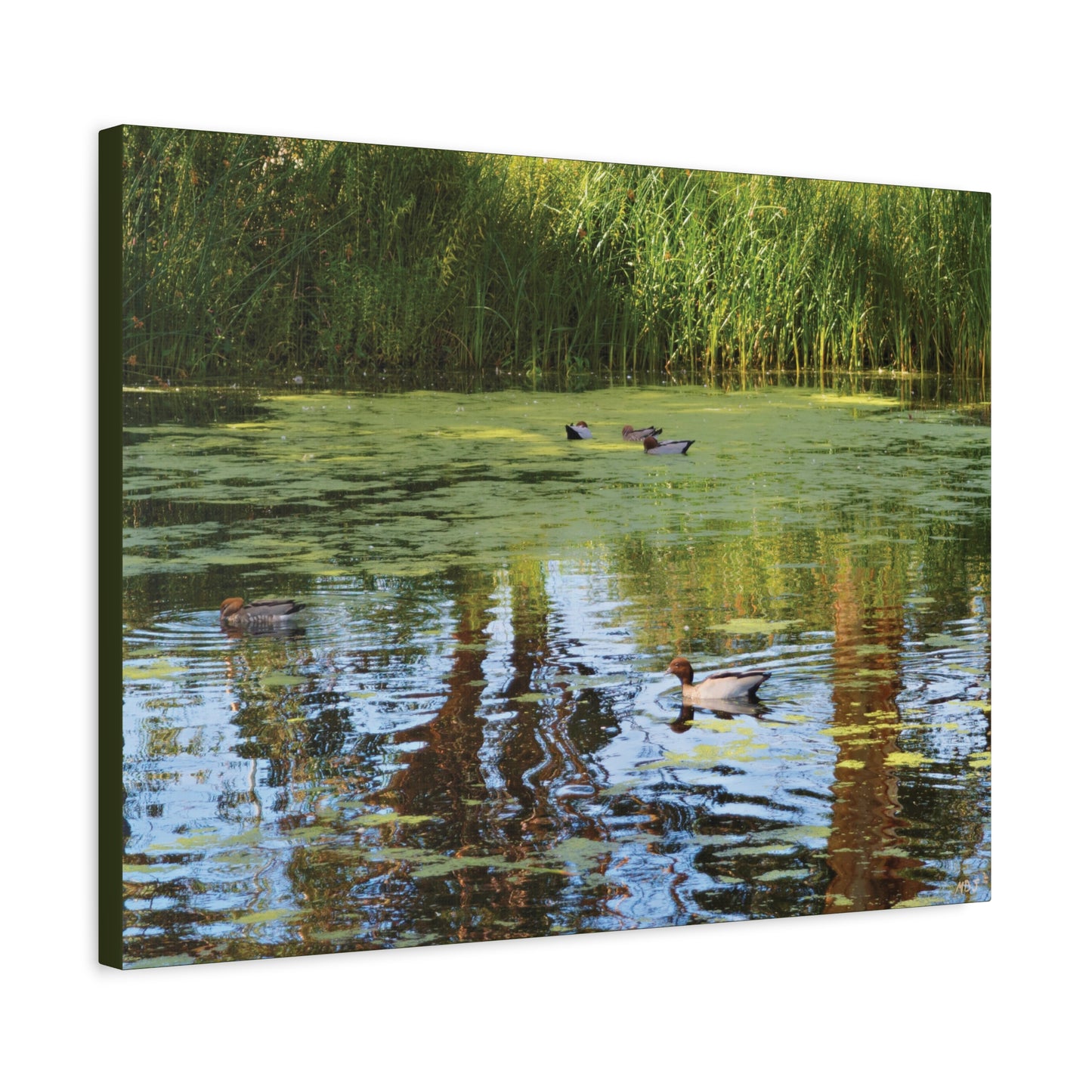 Late Morning Marsh Reflections at Croydon Park | The Stretched Canvas Deployment
