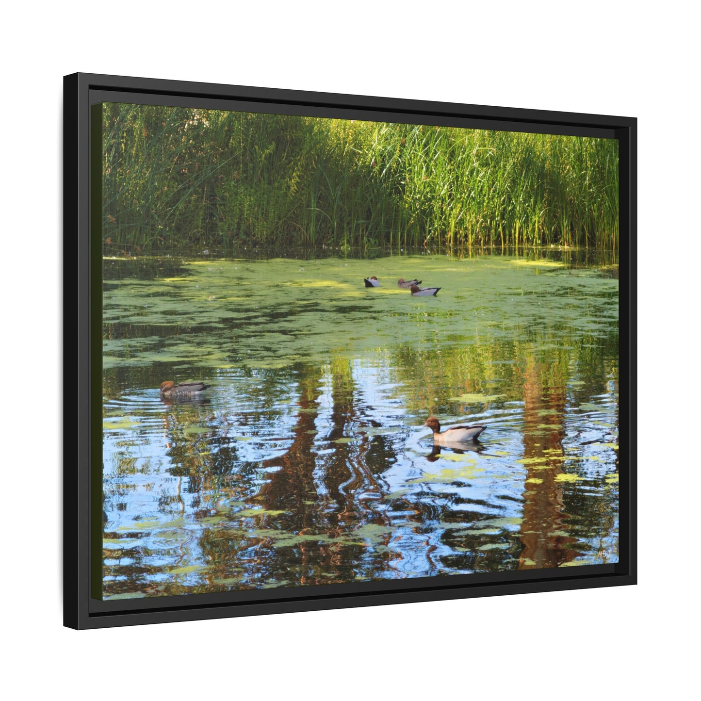 Late Morning Marsh Reflections at Croydon Park | The Framed Canvas Deployment